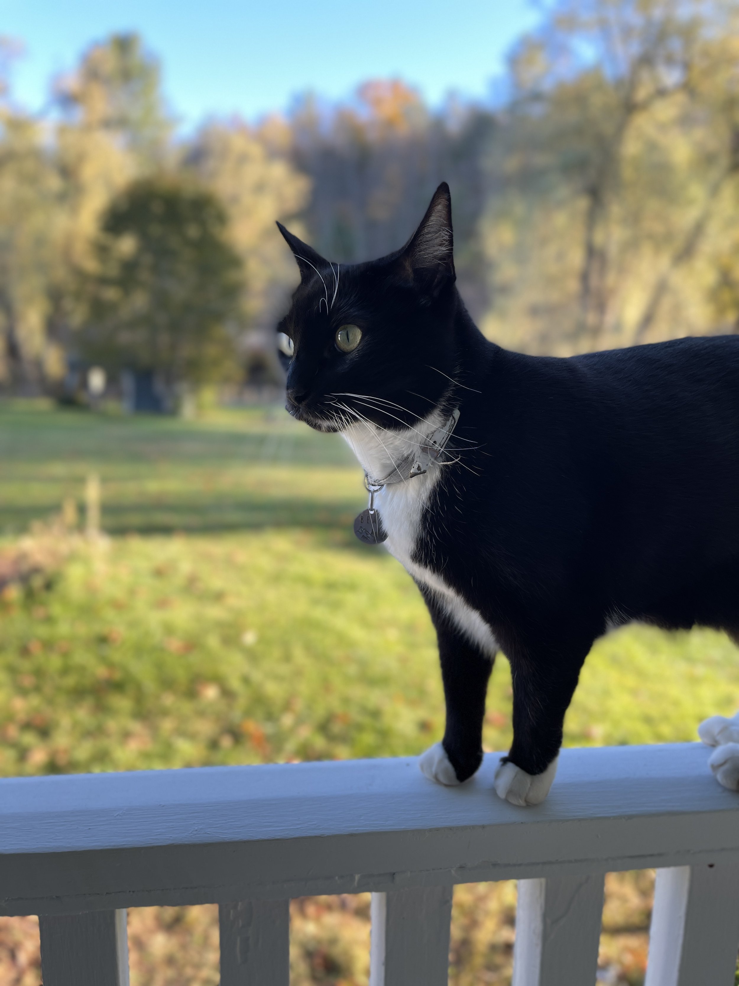 IMG_8682.jpeg