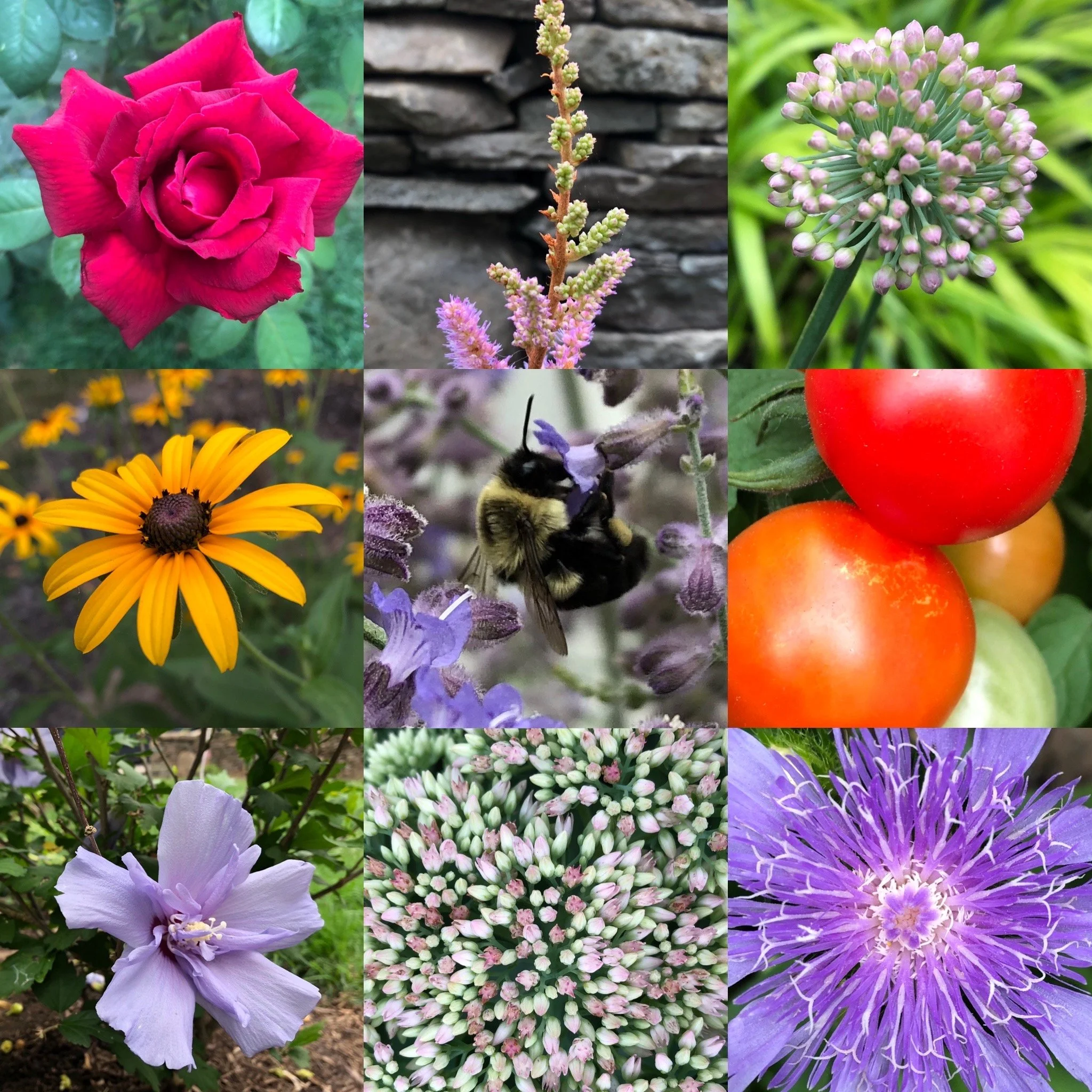 Emergence: a Springtime Retreat