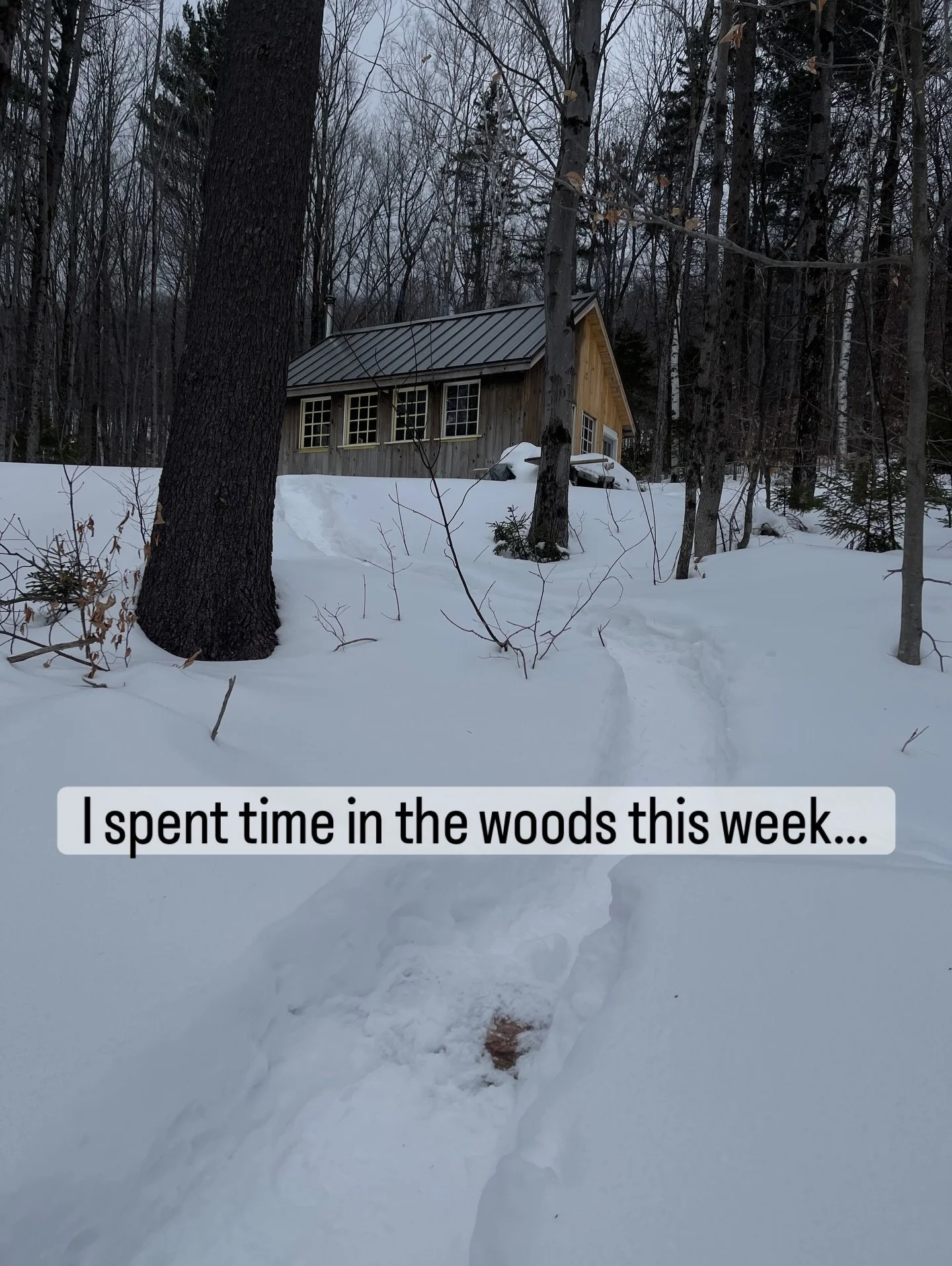 This is where I belong

#forest #awakening #willowvermont #retreatcenter