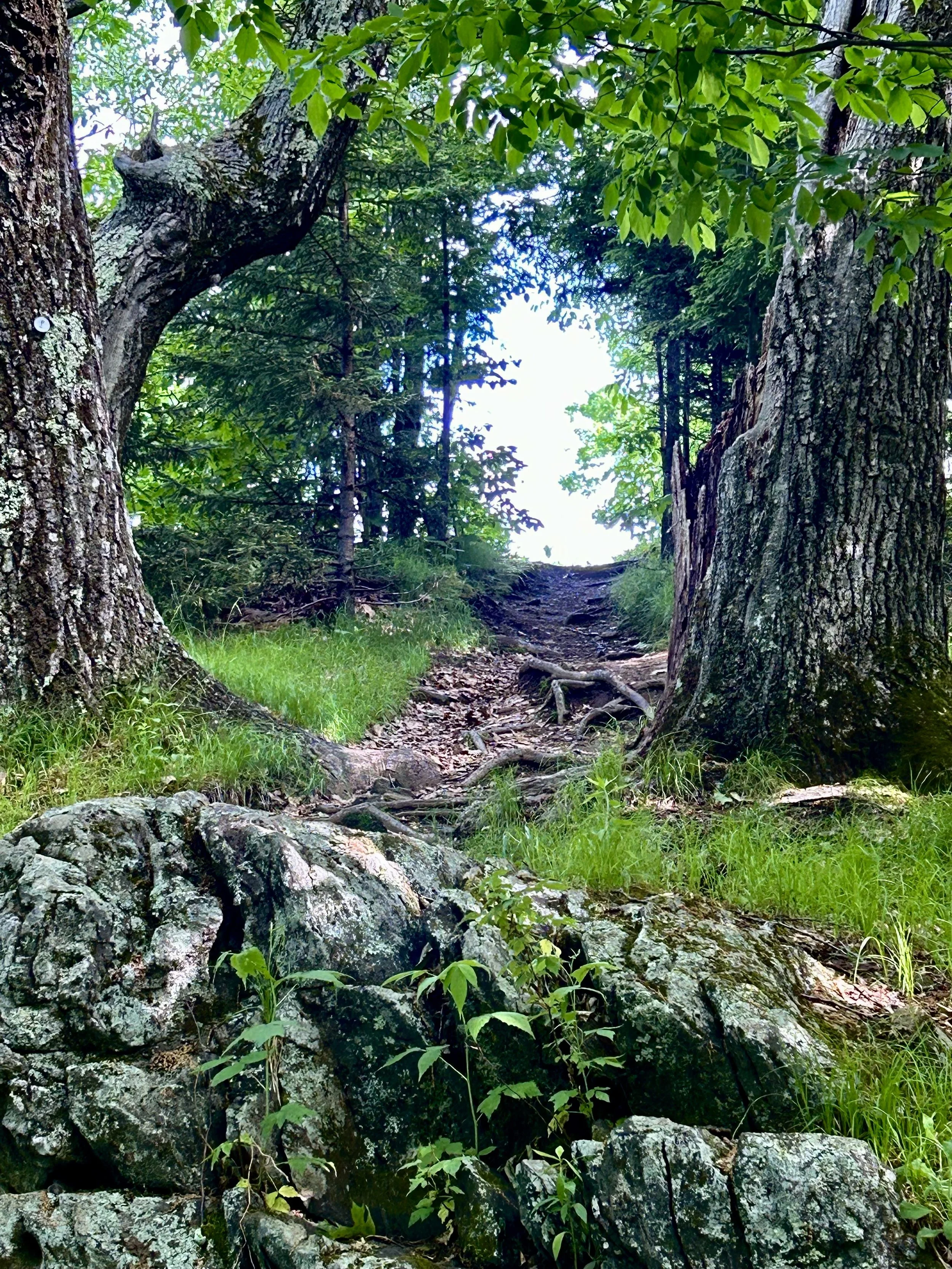 Change Your Energy, Change Your Life