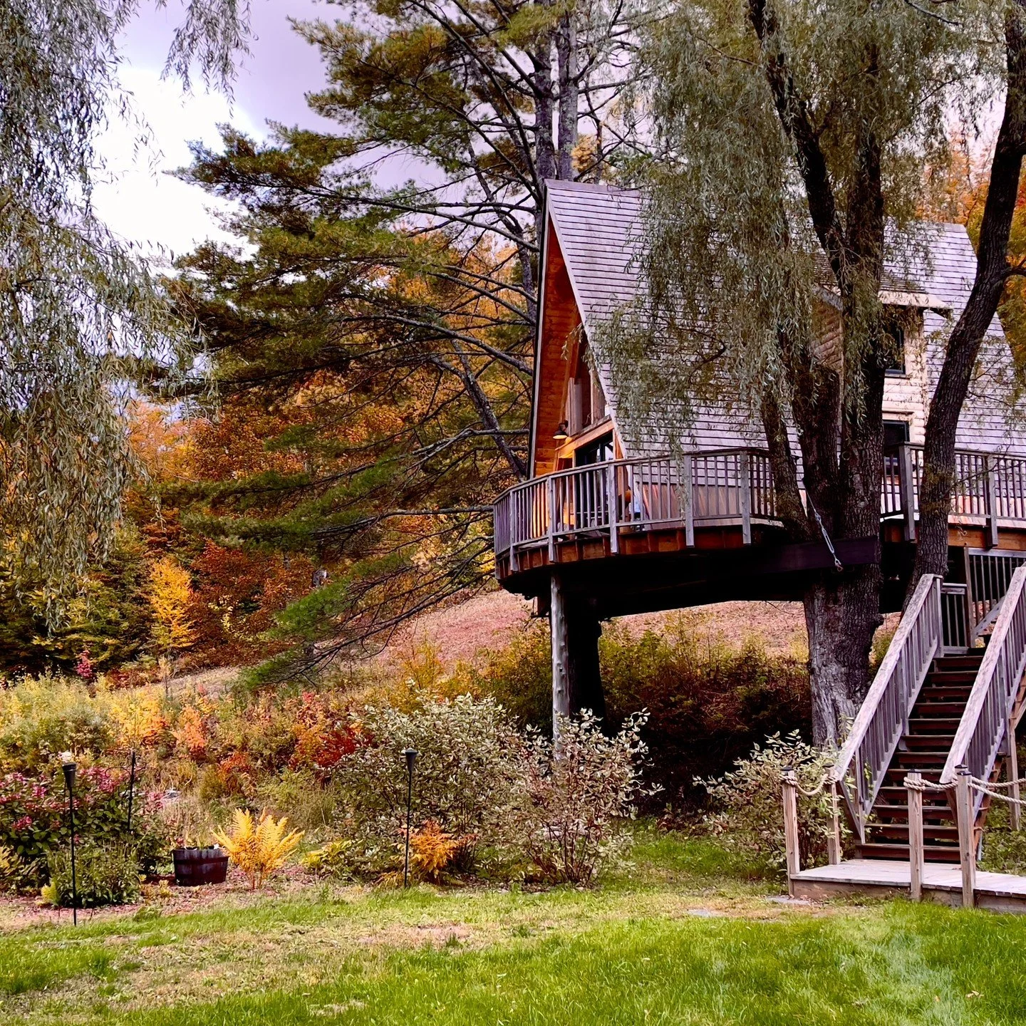 50% off through May when you book three nights.

We've never done this before. Get it while it lasts!

 willowvt.com/treehouse