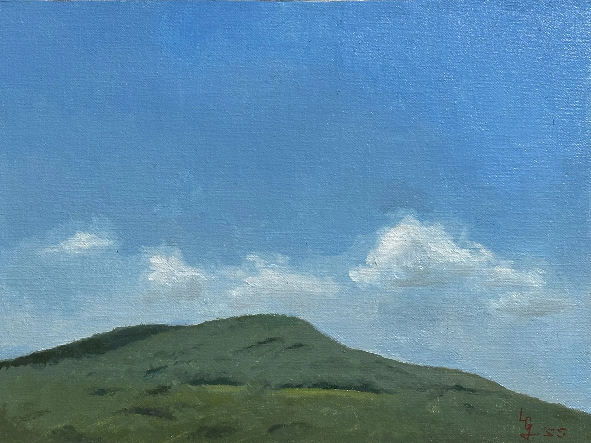 Griffiths-June-skies.jpeg