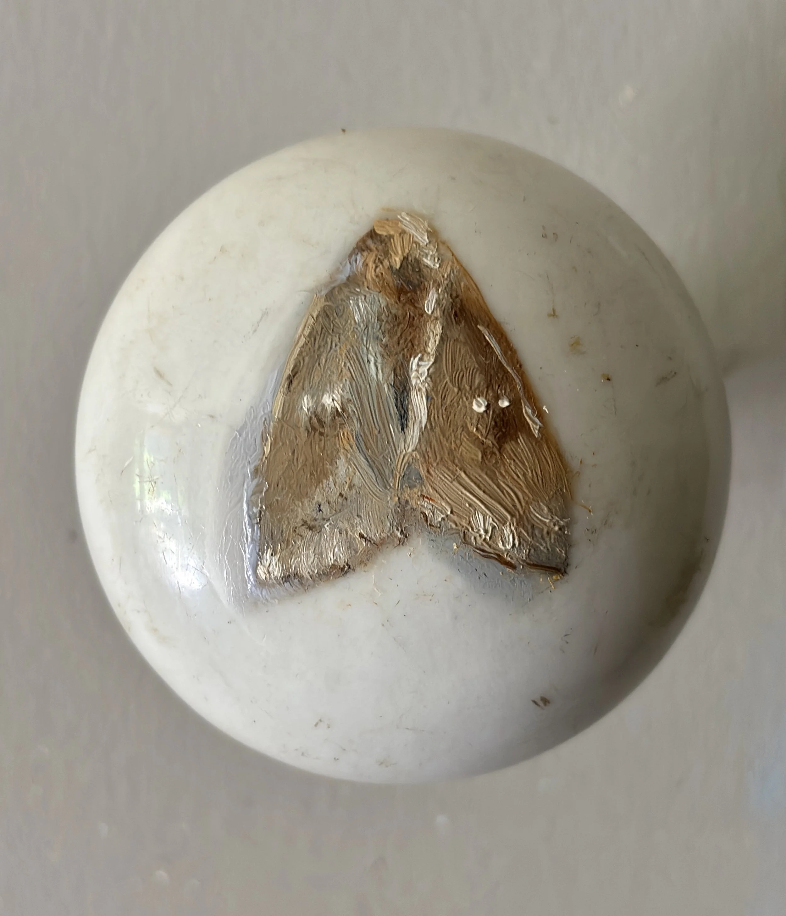 Moran-Handzlik-Moth-and-Moon.jpeg
