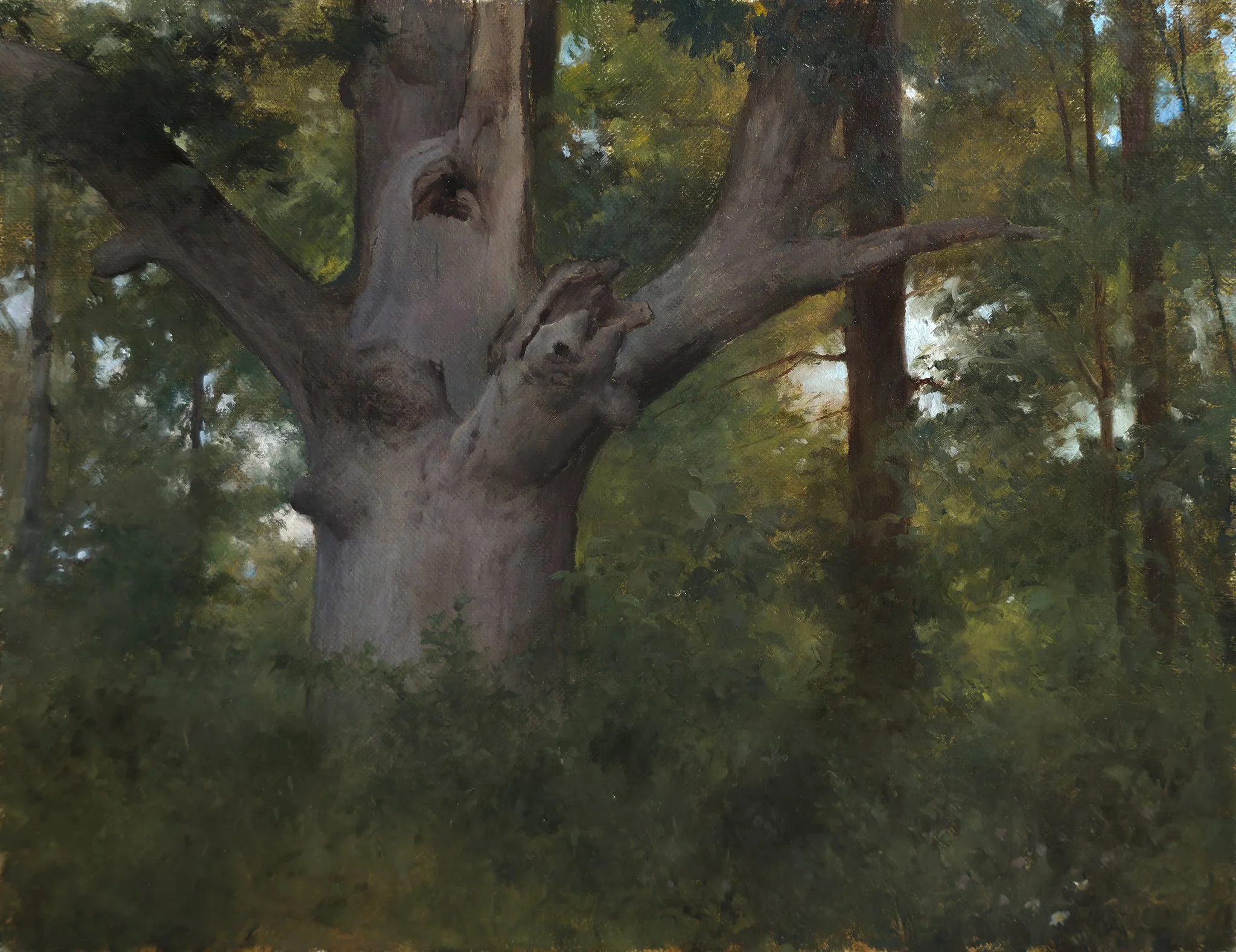 Leichtung_White+oak.jpg
