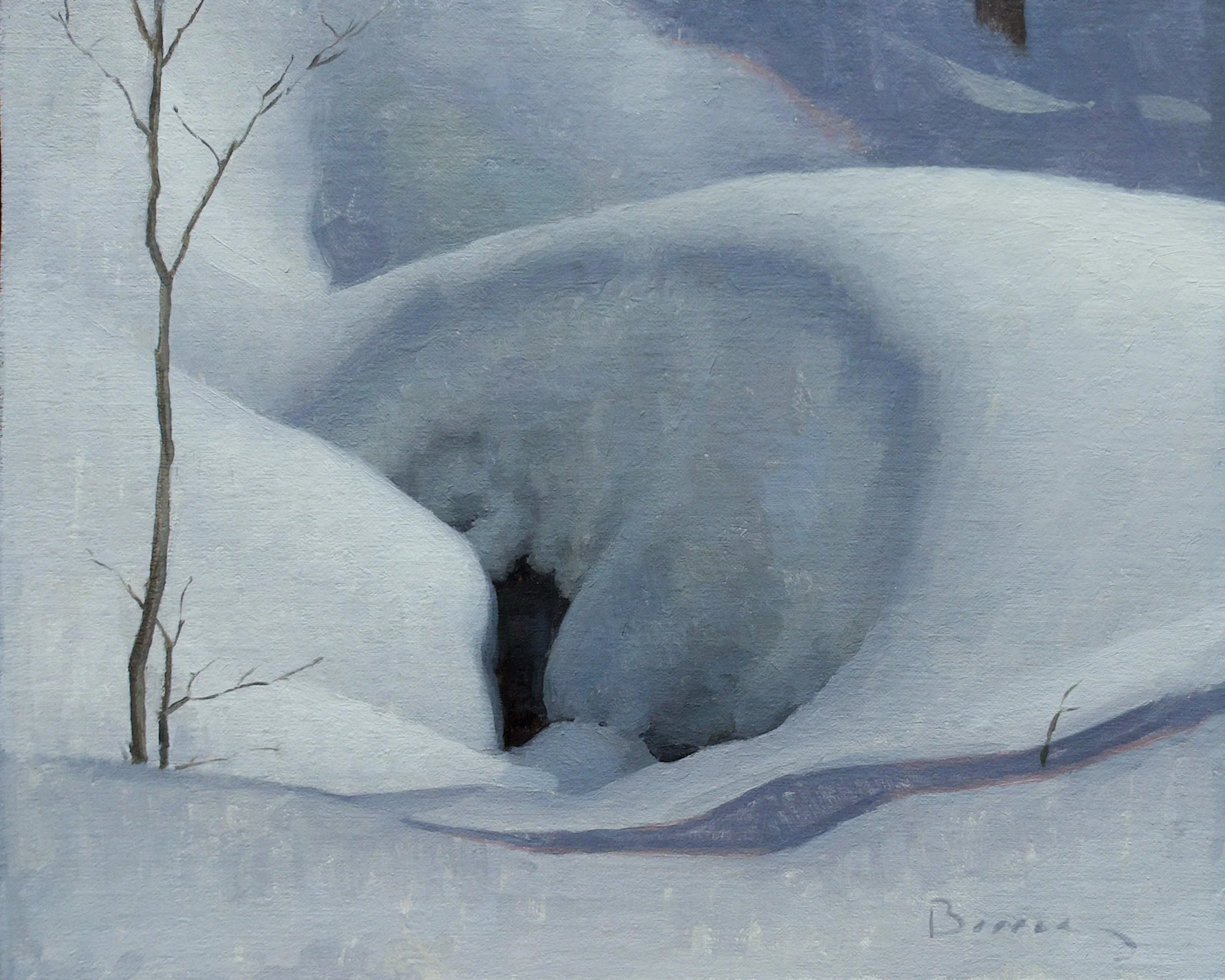 Berry_Snowdrift.jpg