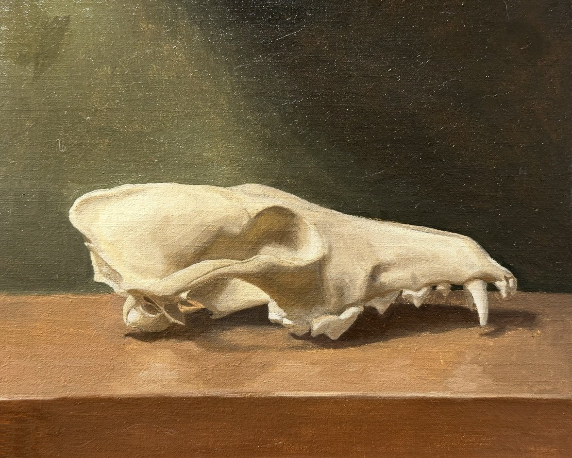 Lukas Griffiths, Coyote Skull