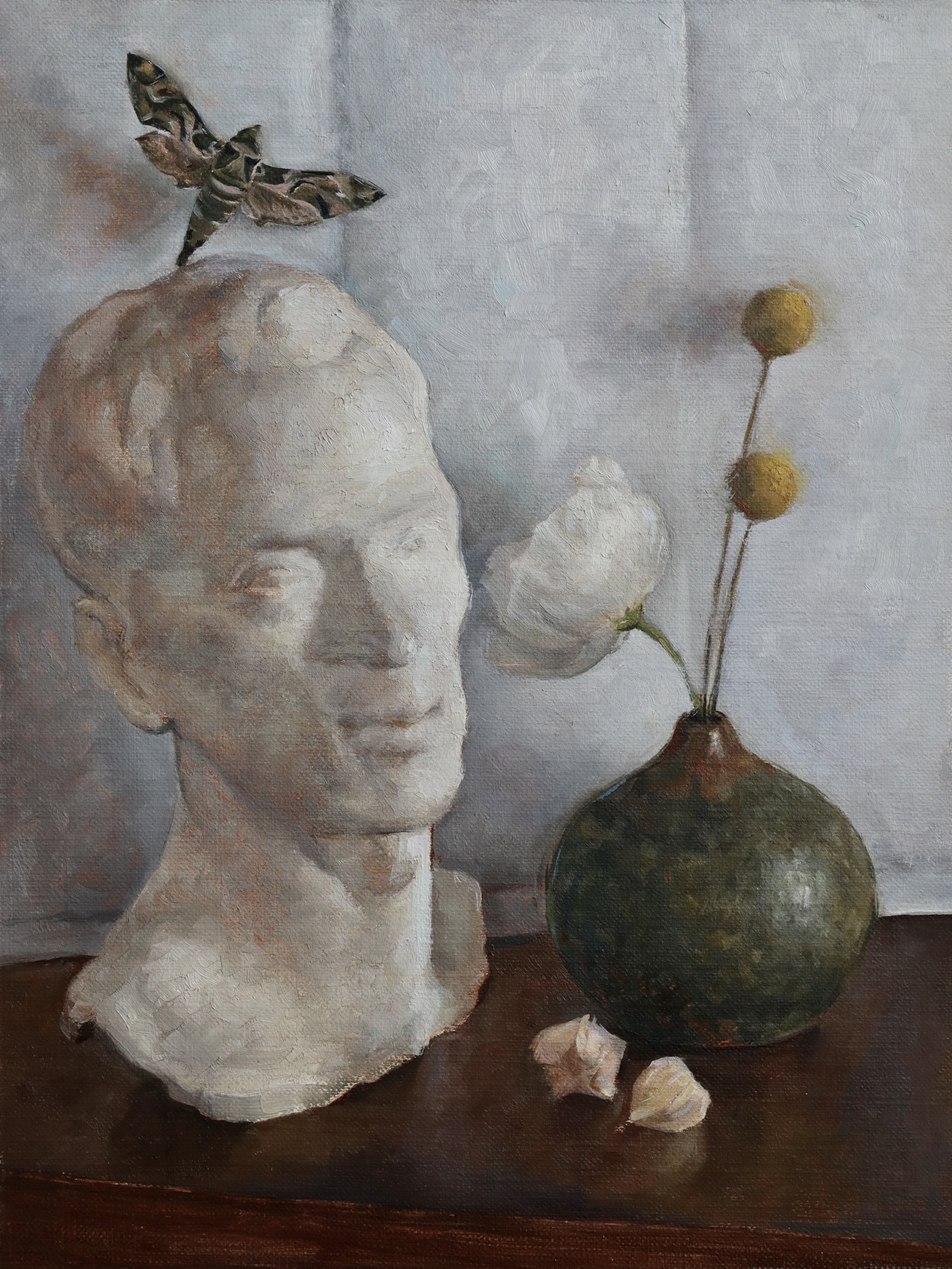 Janice Barnes, Still Life with Moth