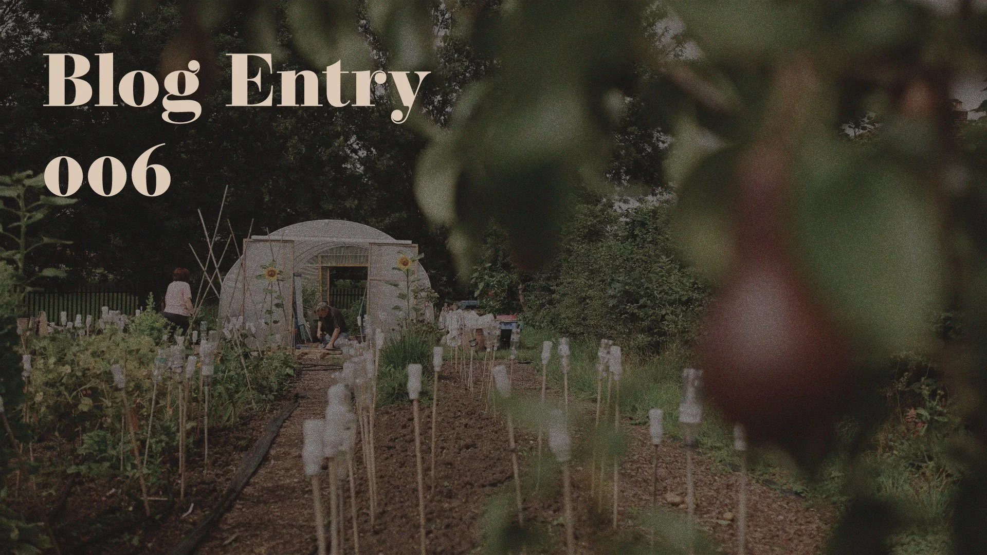 Update on our funding journey (spoiler alert, it’s a good one)