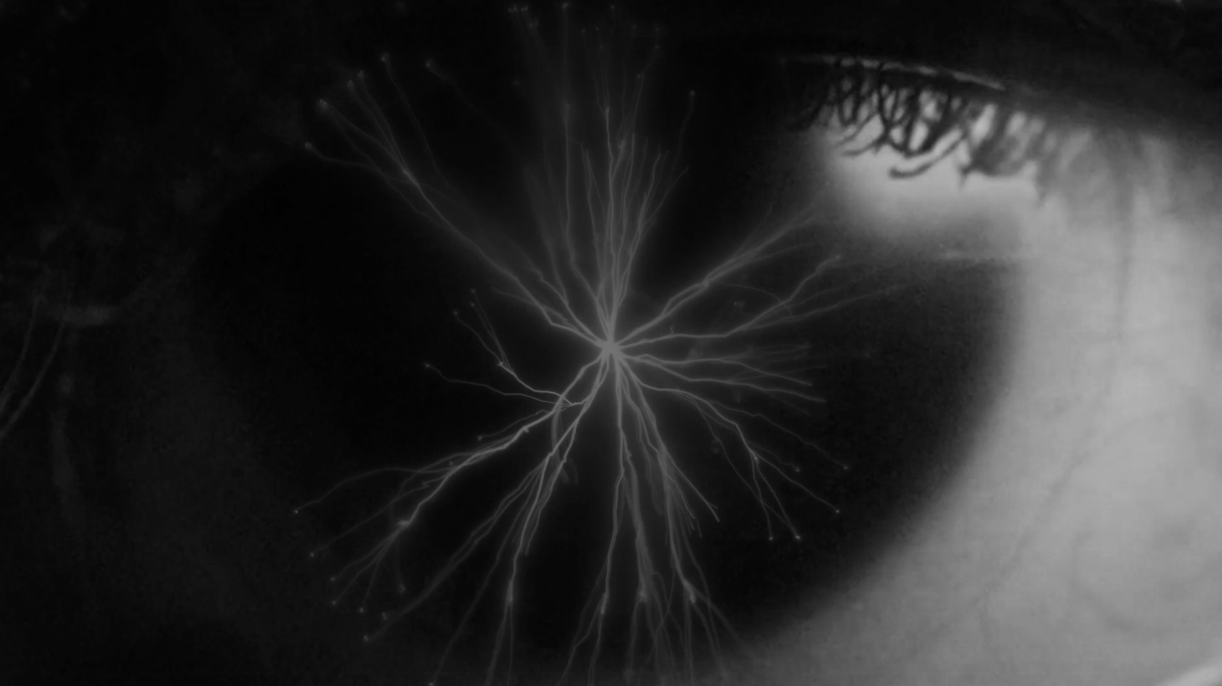 Leo's | Neuroscience & Polyvagal Film