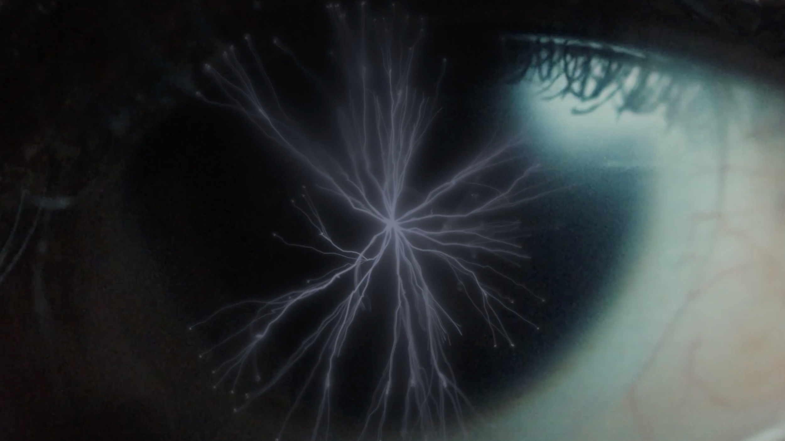 Leo's Neuroscience.png