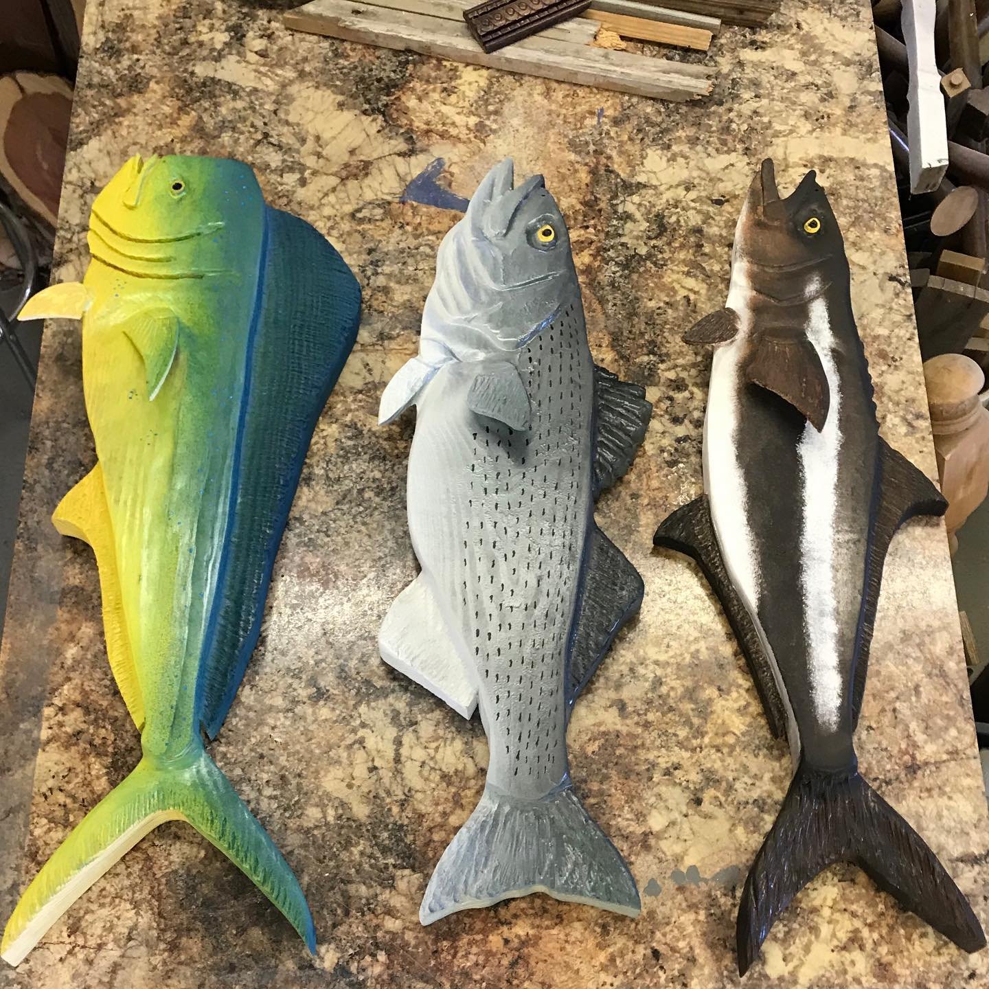 fish-random .jpeg