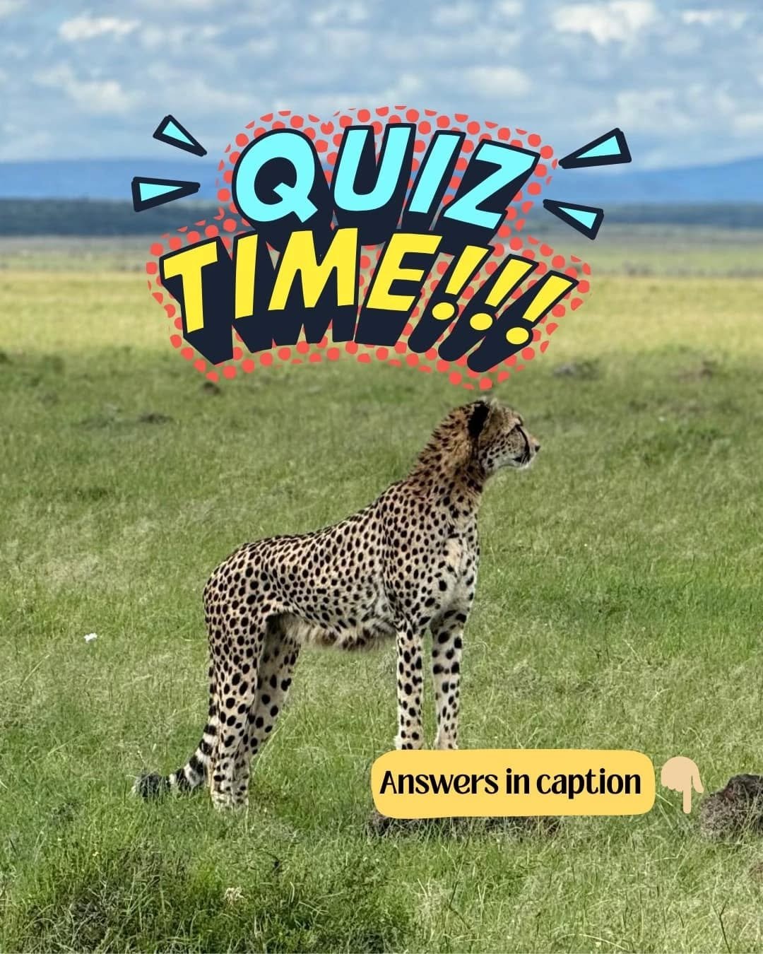 🤯 Think You Could&rsquo;ve Hacked Kenya? Let&rsquo;s See. 🤯

Everyone wants the adventure&hellip; but not everyone could&rsquo;ve handled it.
Now it&rsquo;s your turn to walk in their (very dusty) shoes 🥾🌍

💭 Think you know what animals they saw