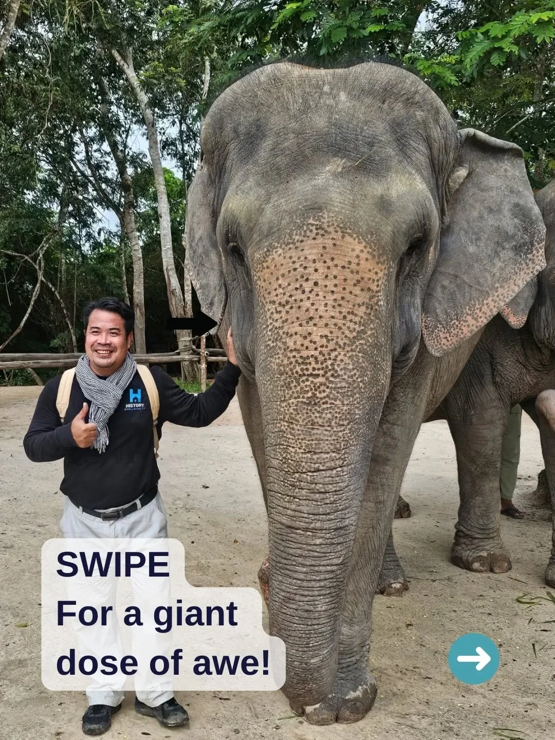 POV: You&rsquo;re face-to-face with an elephant 🐘 and life suddenly feels magical ✨

Today was pure wonder in Cambodia 🇰🇭. From feeding elephants at Kulen Elephant Forest 🍌🥭 to meeting the heroic rats at Apopo 🐀, every moment left us in awe.

&
