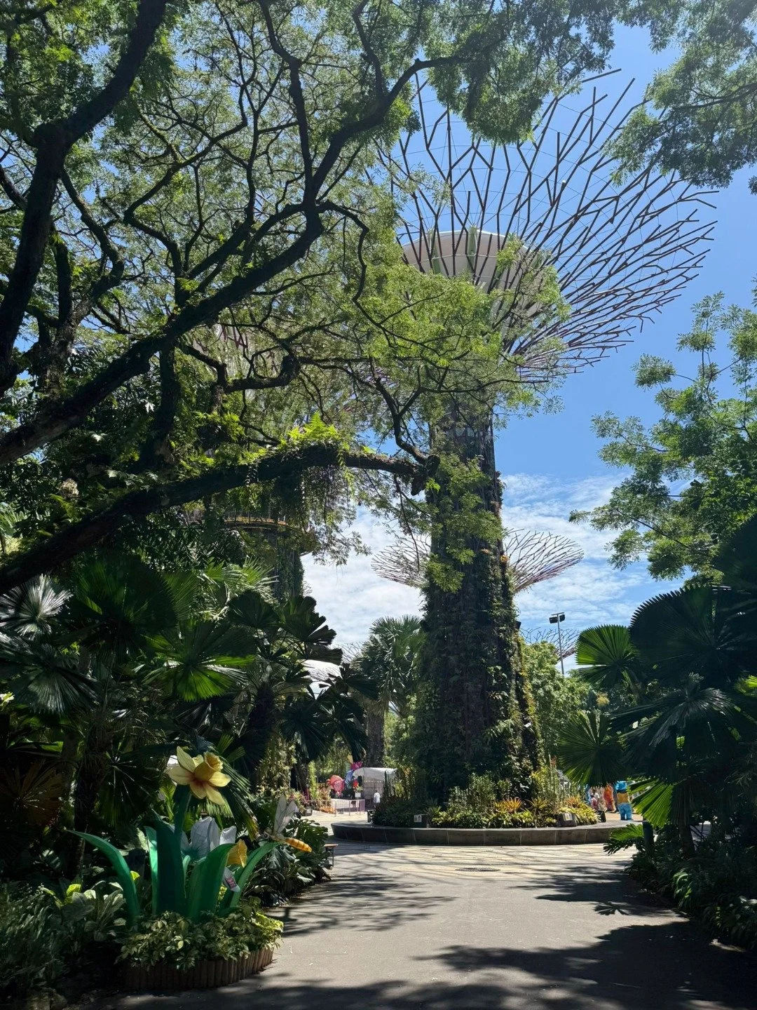 🌆✨ Singapore Adventures &amp; Lasting Memories ✨🌆

From sky-high views to vibrant streets &mdash; our first true days in Singapore were a perfect mix of culture, beauty, and inspiration! 🇸🇬💫

💮 Exploring the City
We wandered through bustling Ch