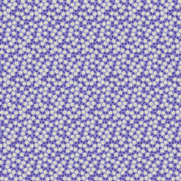120-25977