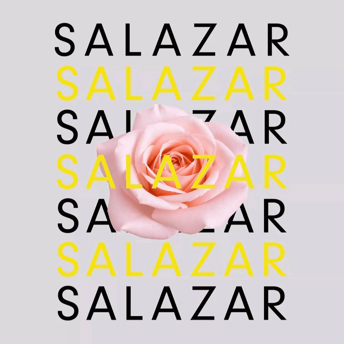 Salazar Studio