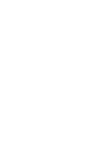 USSF.png