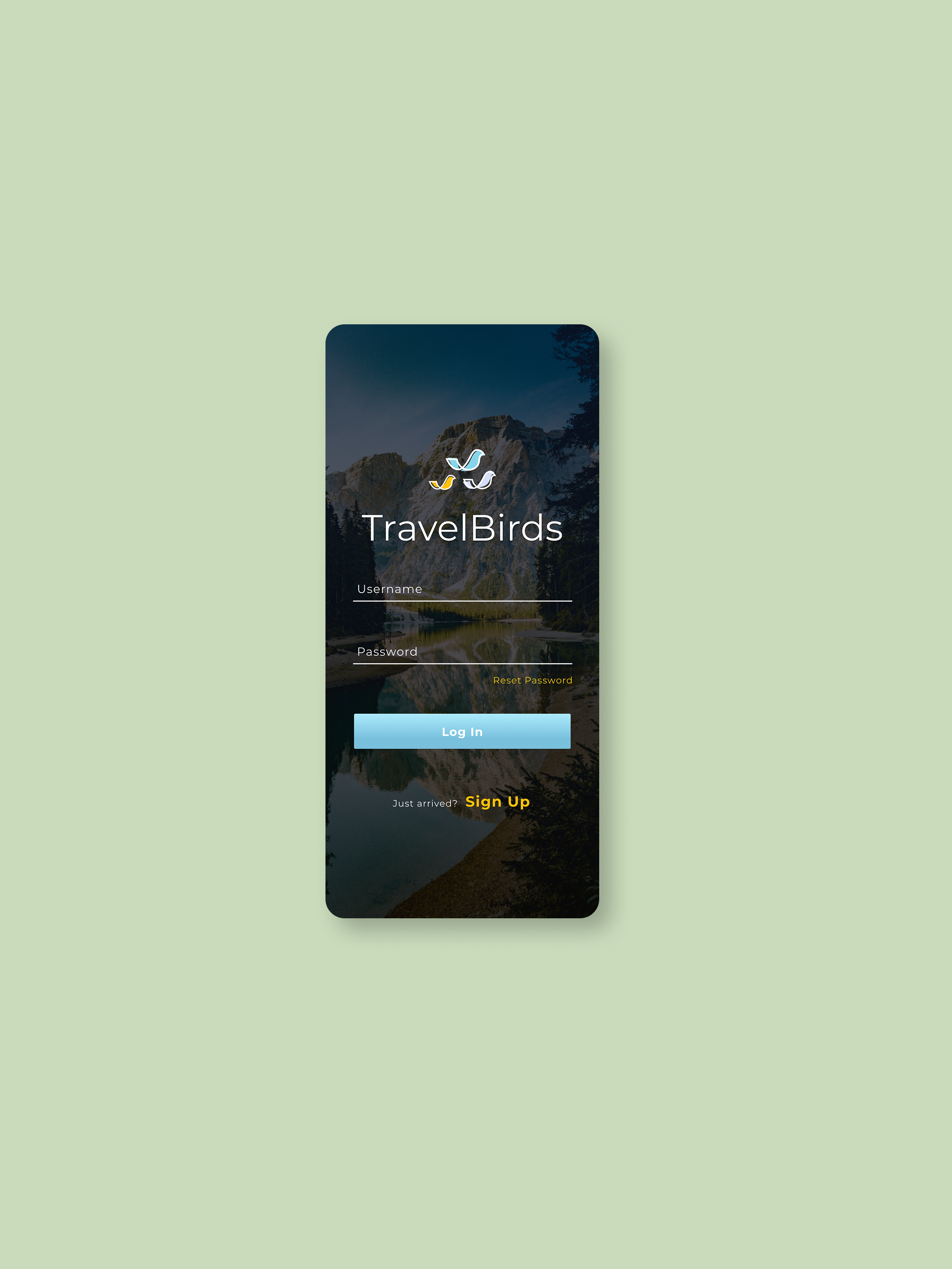 Crowdsourcing travel destination information with TravelBirds