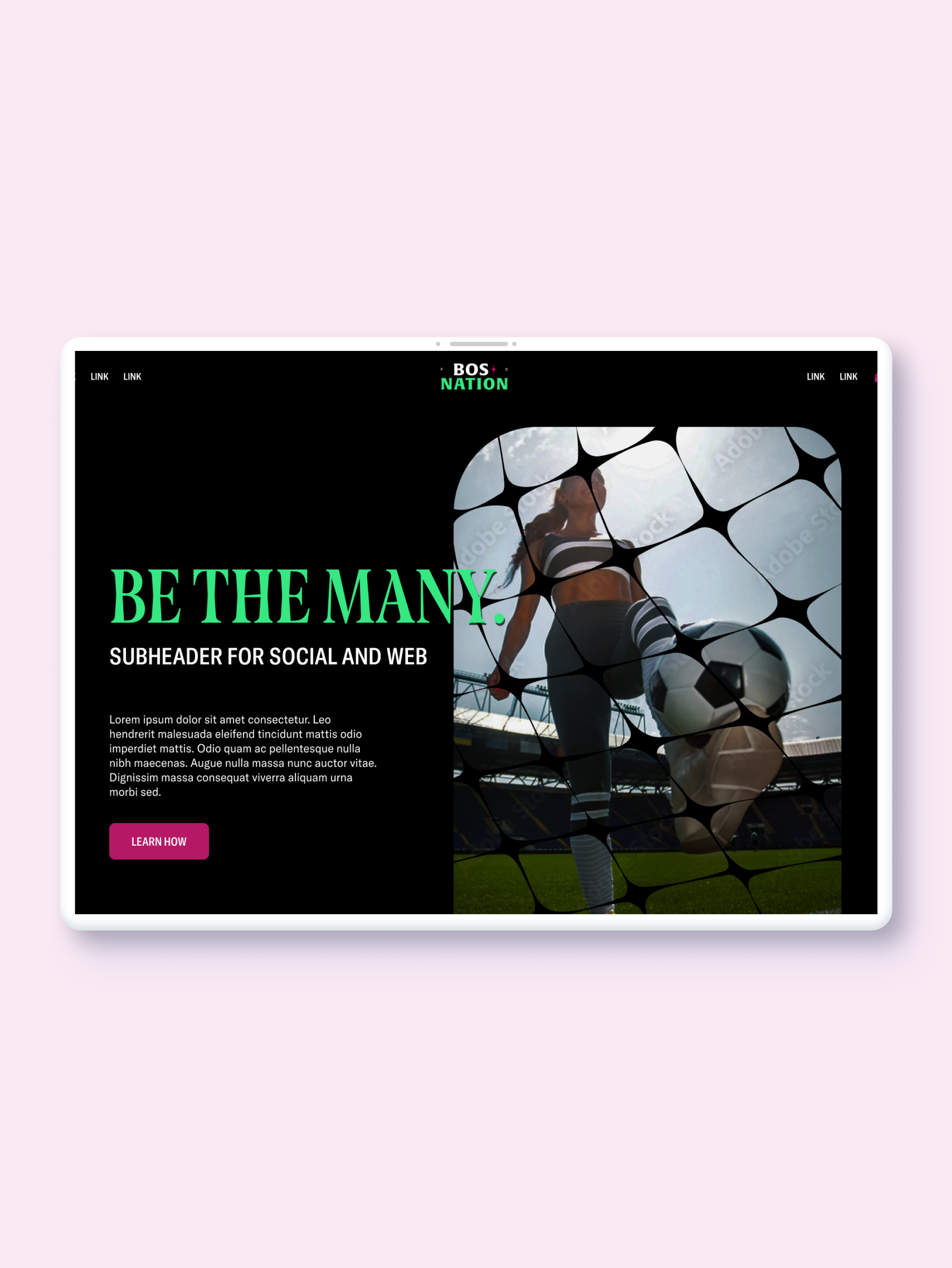 NWSL Boston’s Website