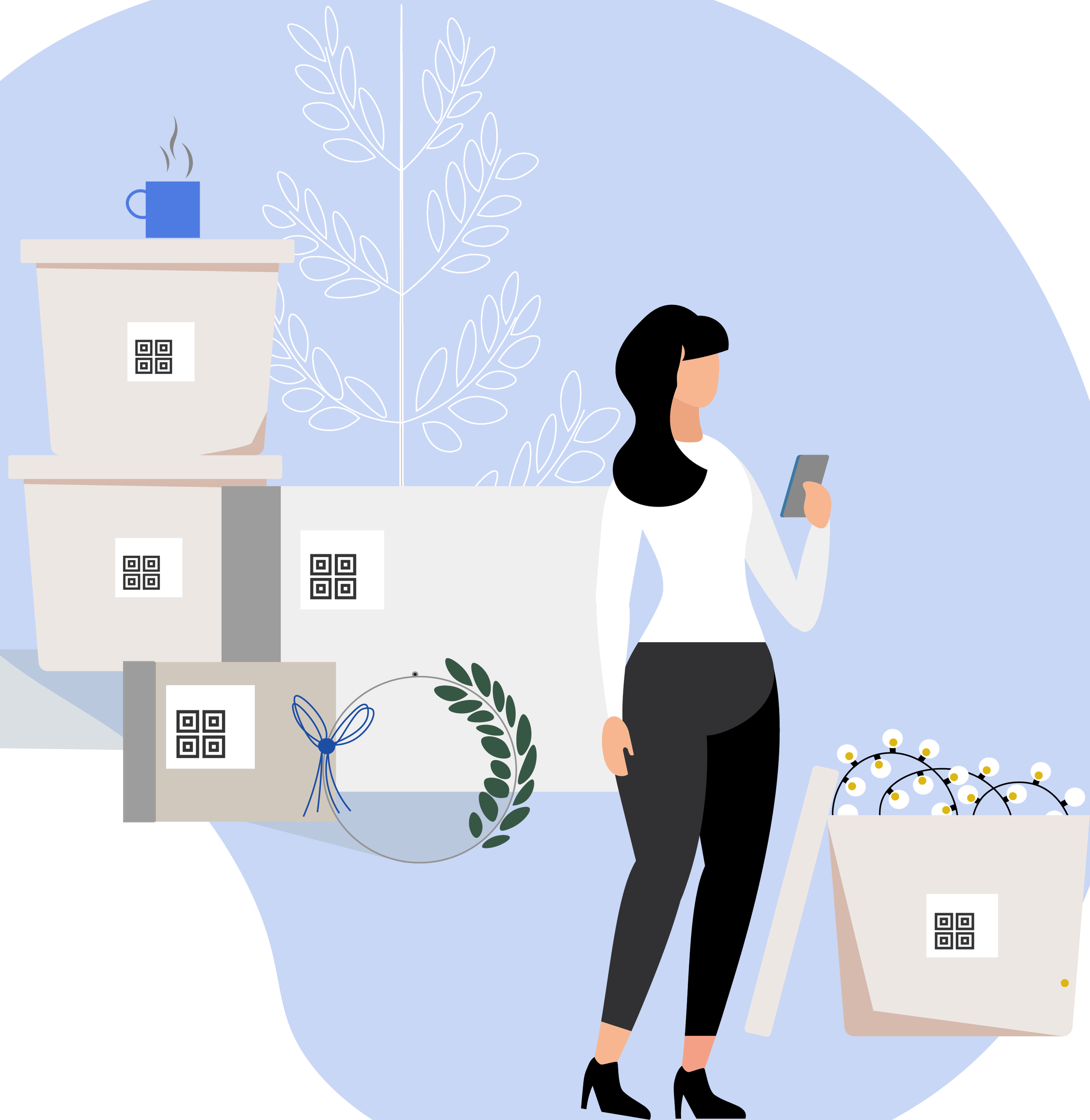 SmartBoxesLady-04-01.png
