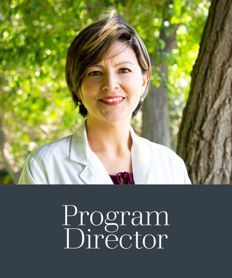 NewProgram Director.png