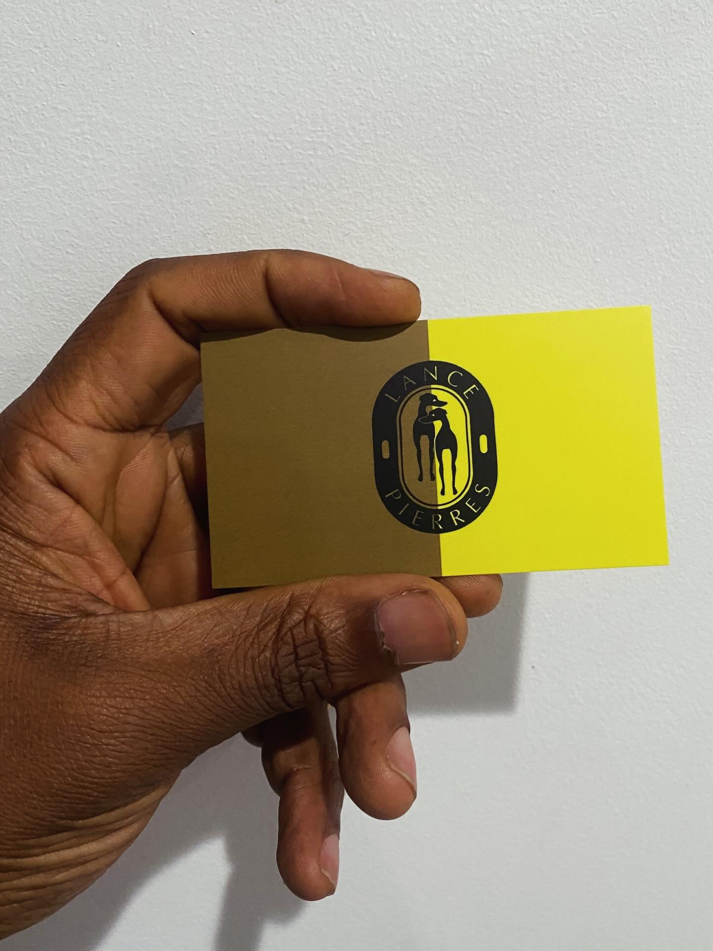 Brand assets, brand assets, brand assets&hellip;

When we aren&rsquo;t furiously building elevated, essential accessories (designed, developed, and crafted in the city of angels&hellip;) we are frantically tracking business cards and matte photo flye