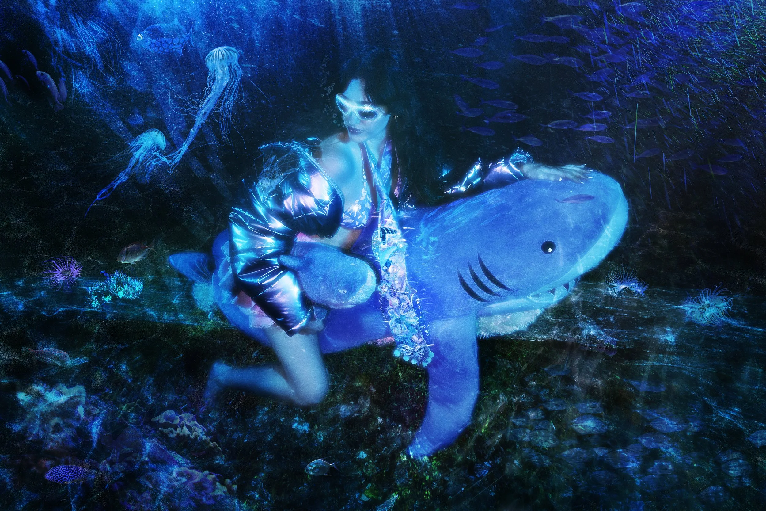 lizshark smallsize.jpg