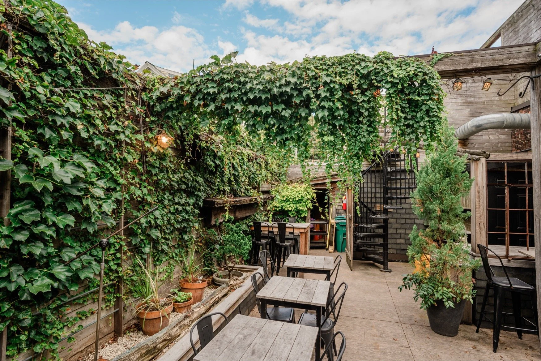 Satellite's beer garden