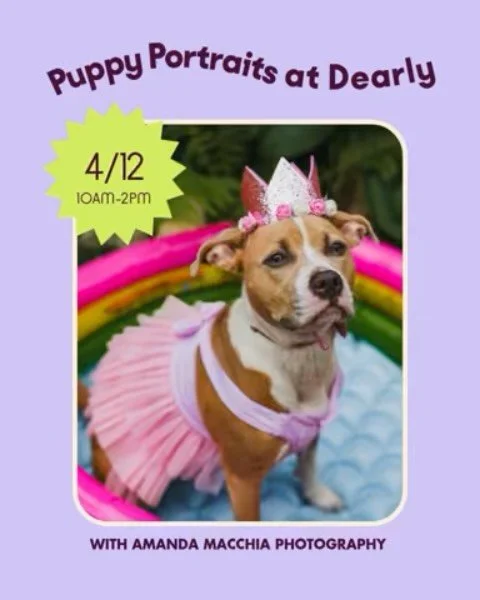 CAN WE PET YOUR DOG? 

📸 @amandamacchiaphoto 
📅 Sunday 4/12
✨ pre-booked sessions only, no walk ins