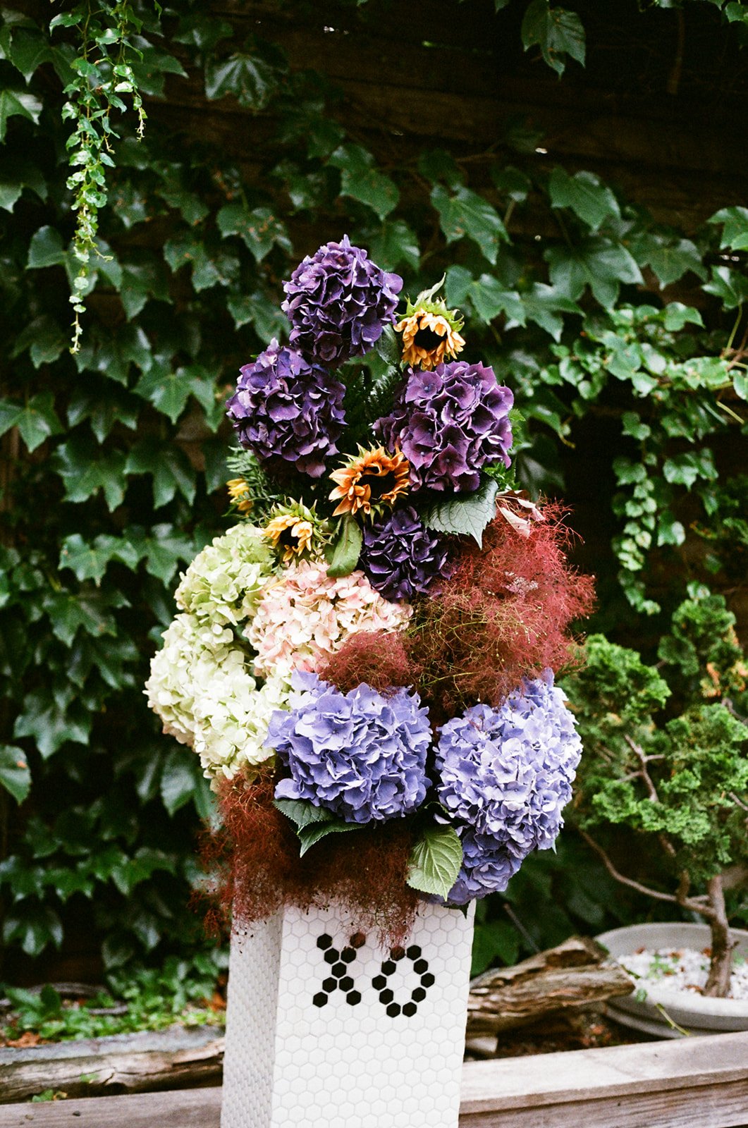 charlottewade-film-15_websize.jpg