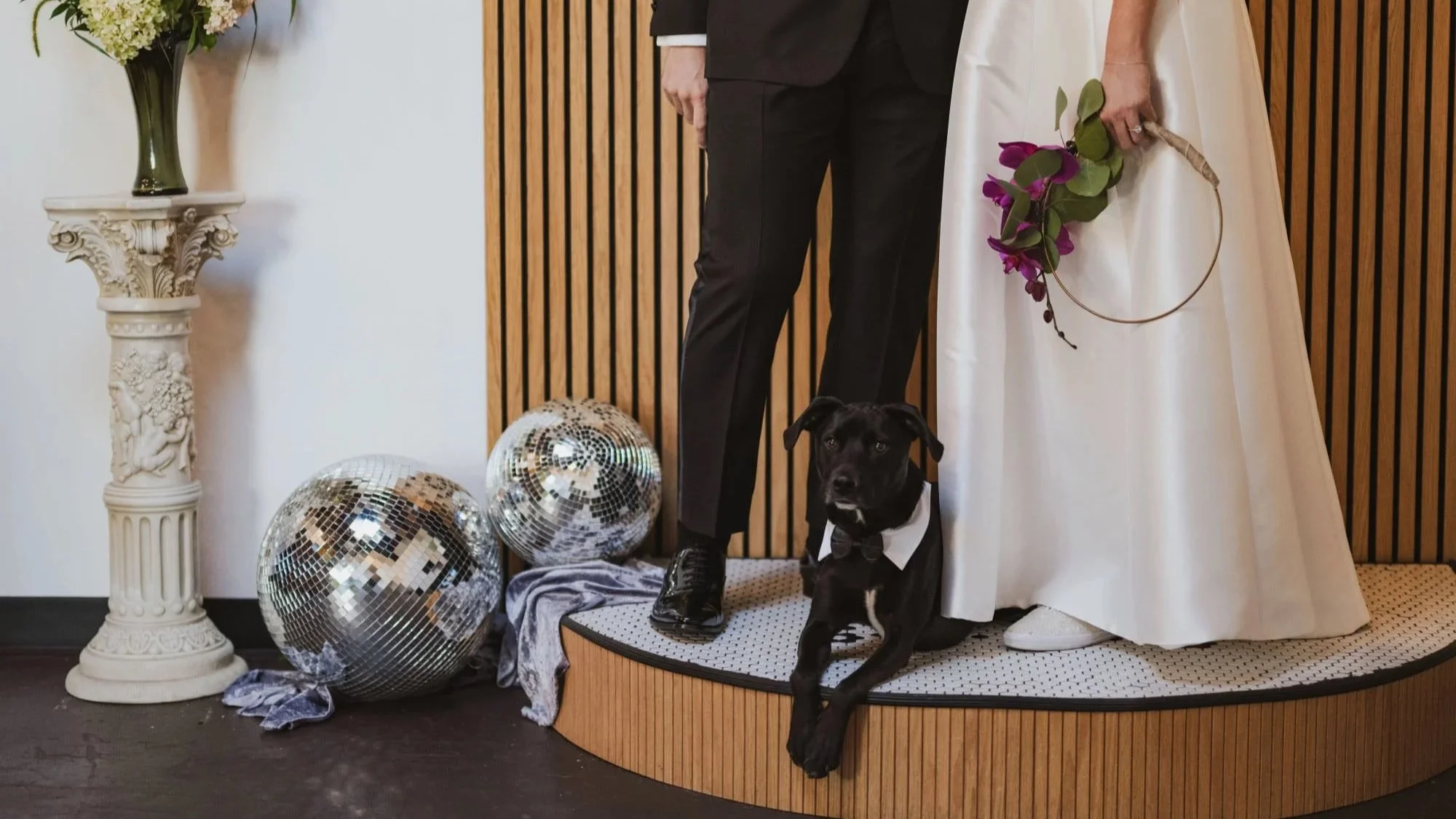  A dog in a suit outfit sitting at their owner’s feet at a wedding ceremony location  