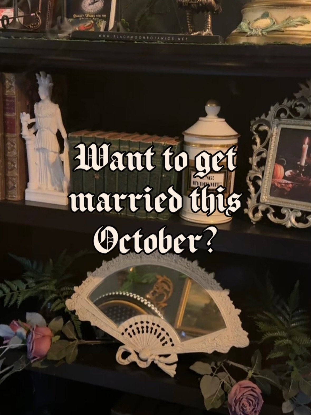 REMINDER: Dearly will be in Salem this Halloween!

Thanks to the wonderful @nocturnesalem who were kind enough to lend us @hillhouseparlour for the day 🍂 🥀

Www dot Dearly dot studio for answers to all your questions and easy online booking.