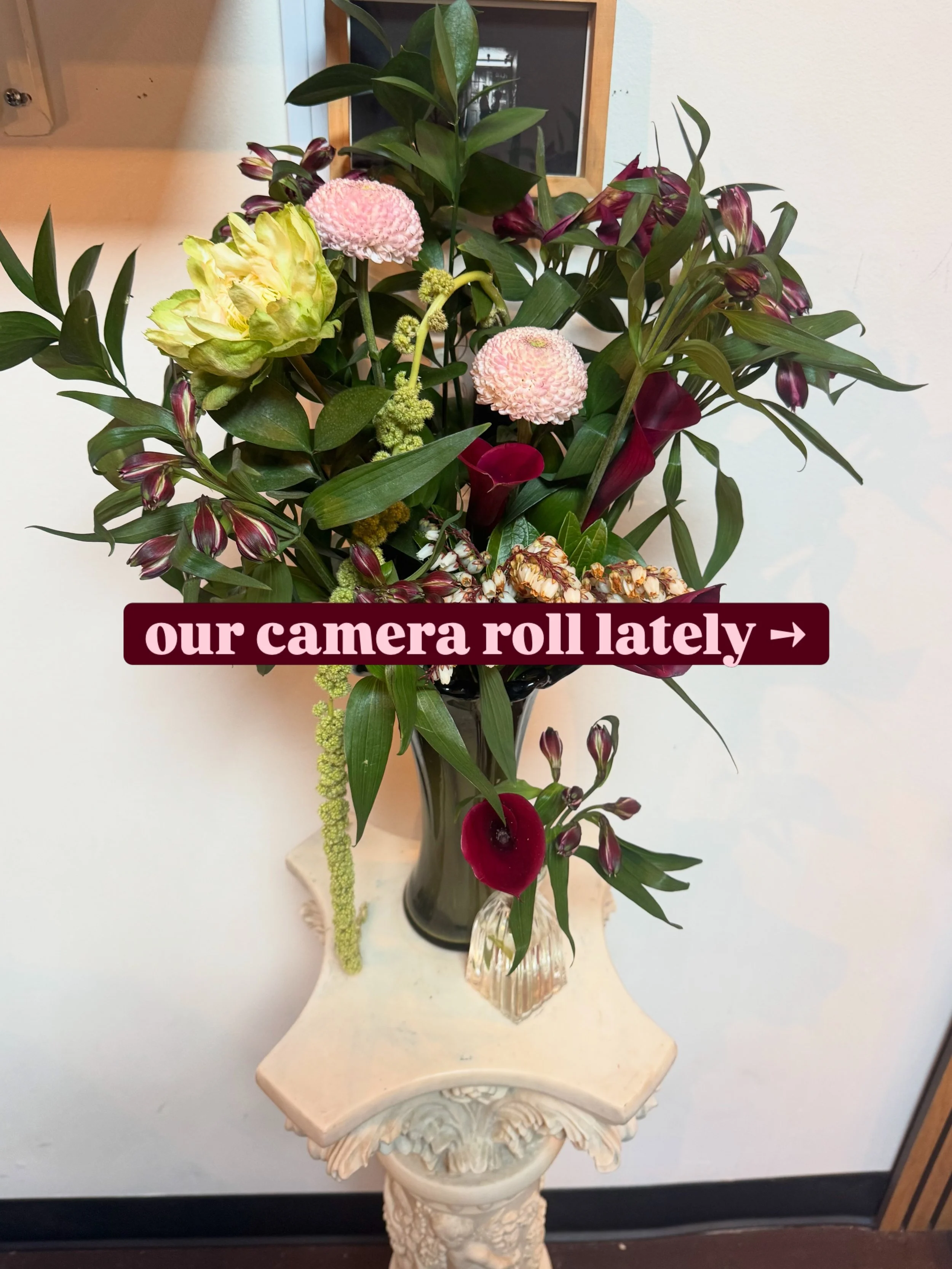 Having a really cute time, thanks
🥰💍🍁&hearts;️🥀🫶💋🐶🌱🌙💫🌈

Buddy, a tiny dapper sweetie pie. 

🥰

@amandamacchiaphoto can bustle your dress btw 

Spells, Spirits &amp; Scribes (Zinnia&rsquo;s birthday edition!) with @zinnia_smith + @heronkin