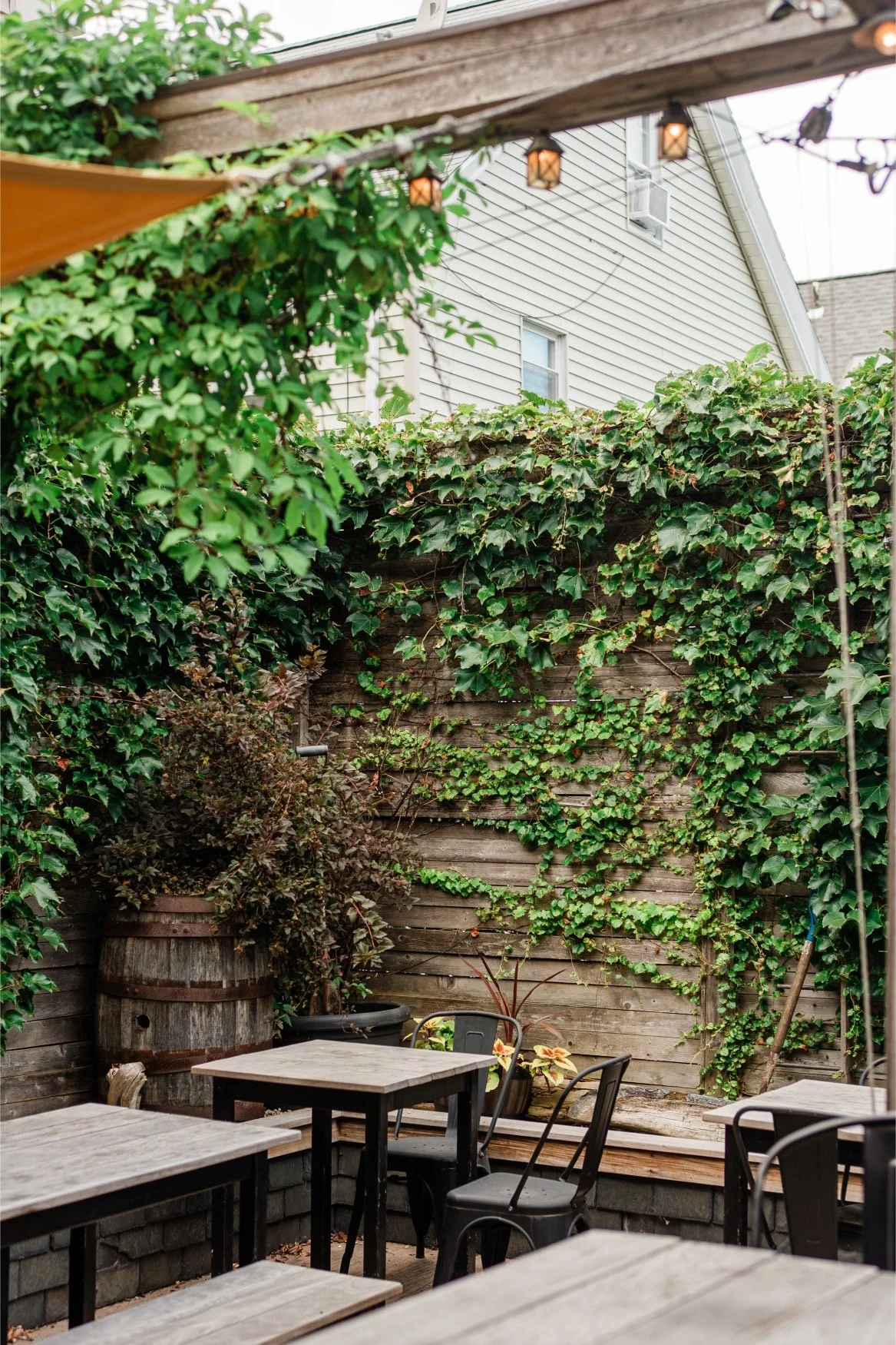 Satellite's beer garden