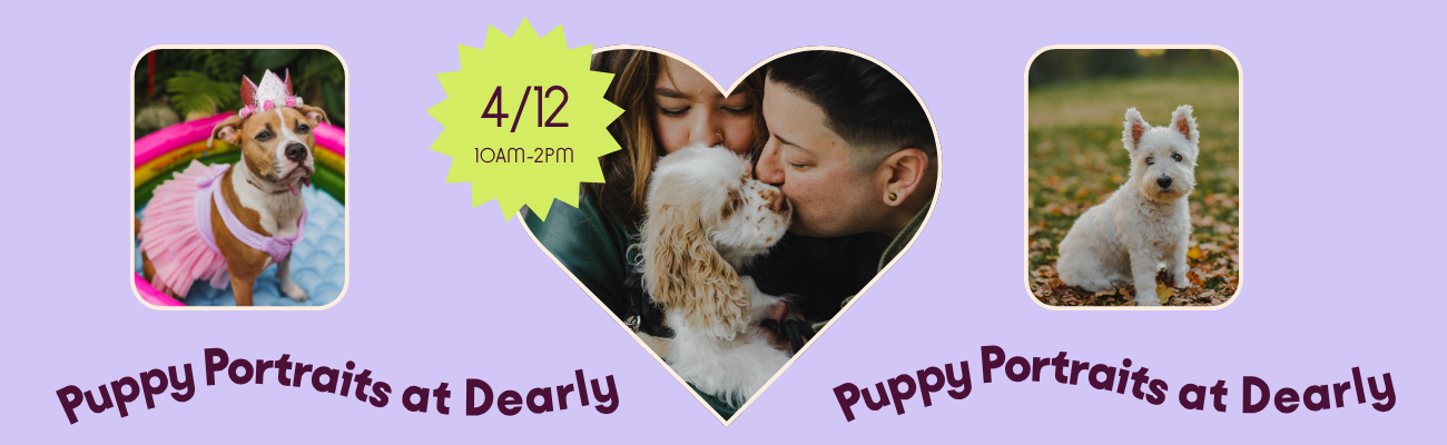 website banner-2.png