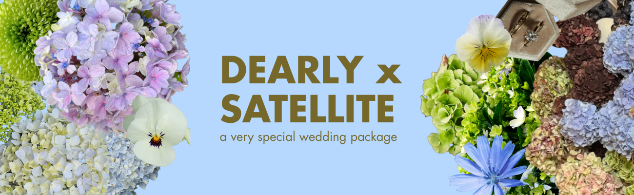 SATELLITE - website banner-2.png