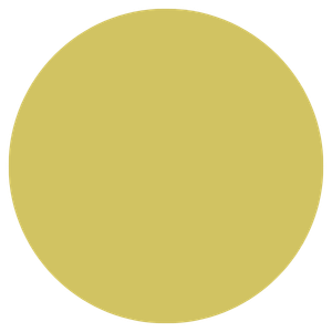 a blue hydrangea flower