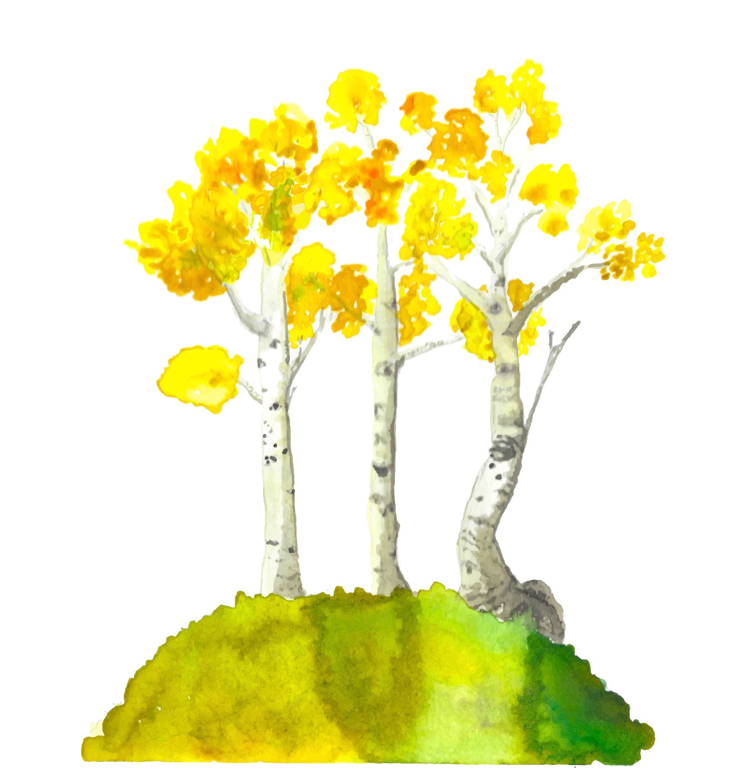 Aspen Triplets - final.jpg