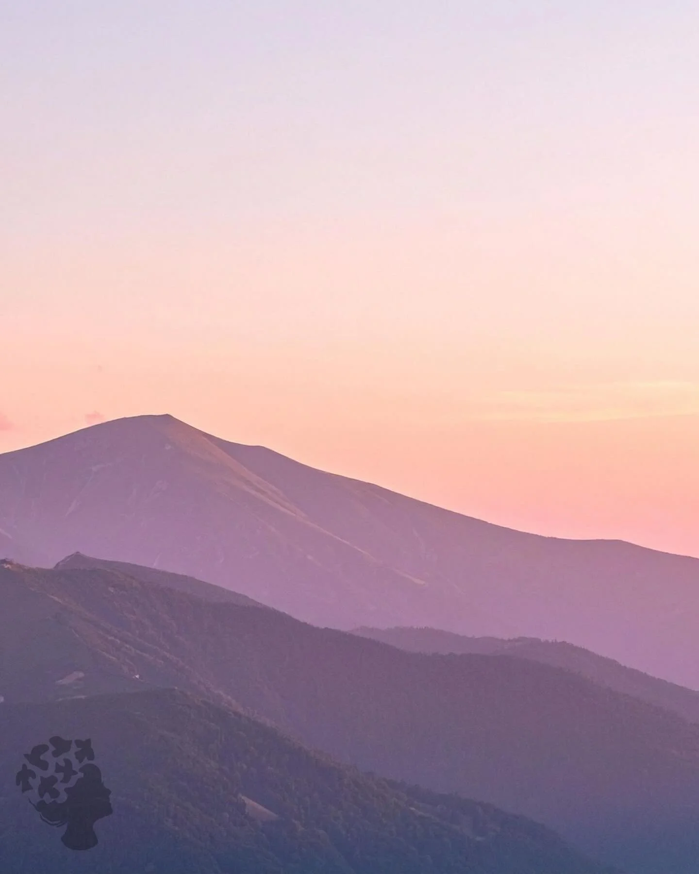 The mountains wake up quietly.

I&rsquo;m learning to do the same. 

.
#mountainmorning 
#coloradolife 
#rockymountains 
#quietmoments 
#presence