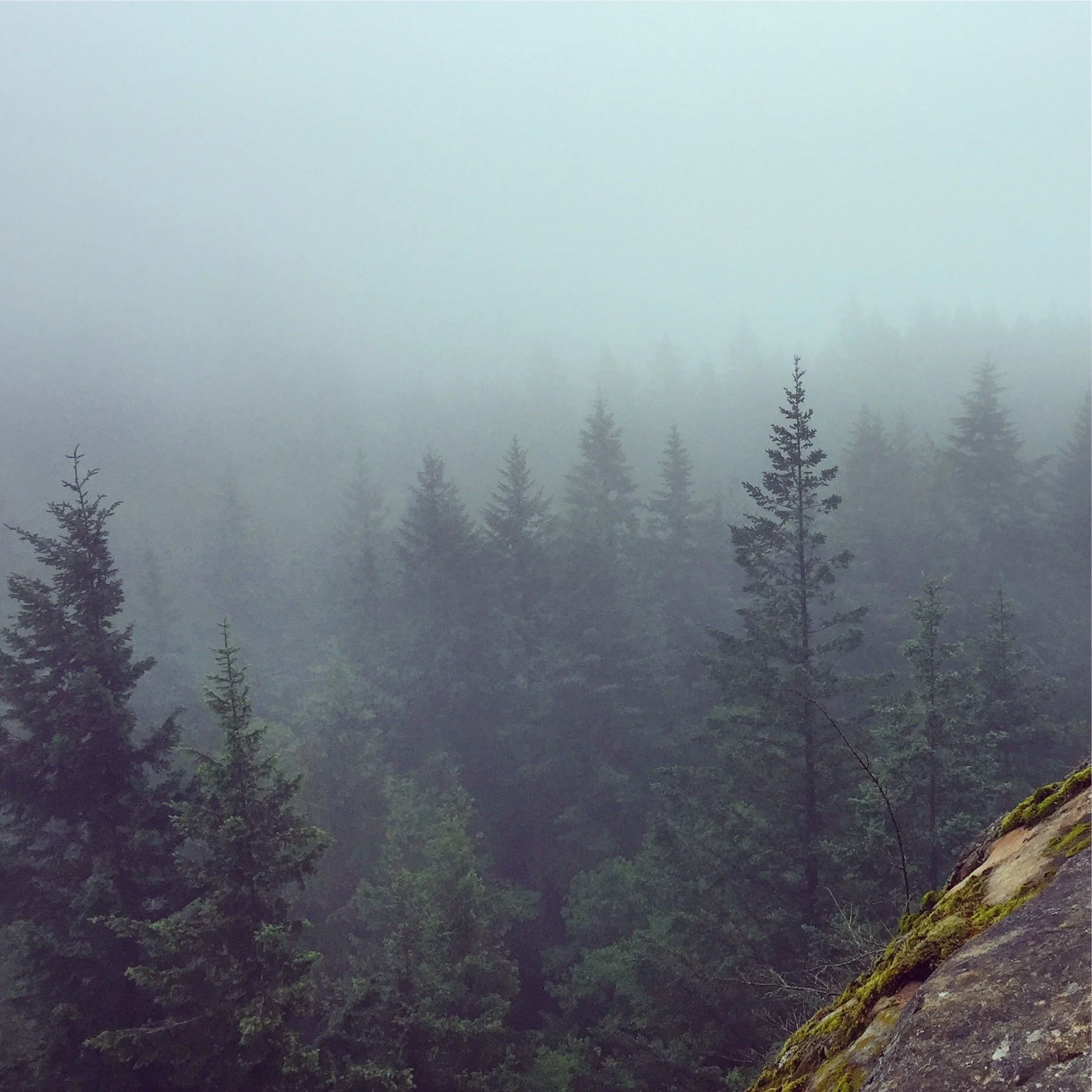 Half-Day Retreat: Honoring Our Grief