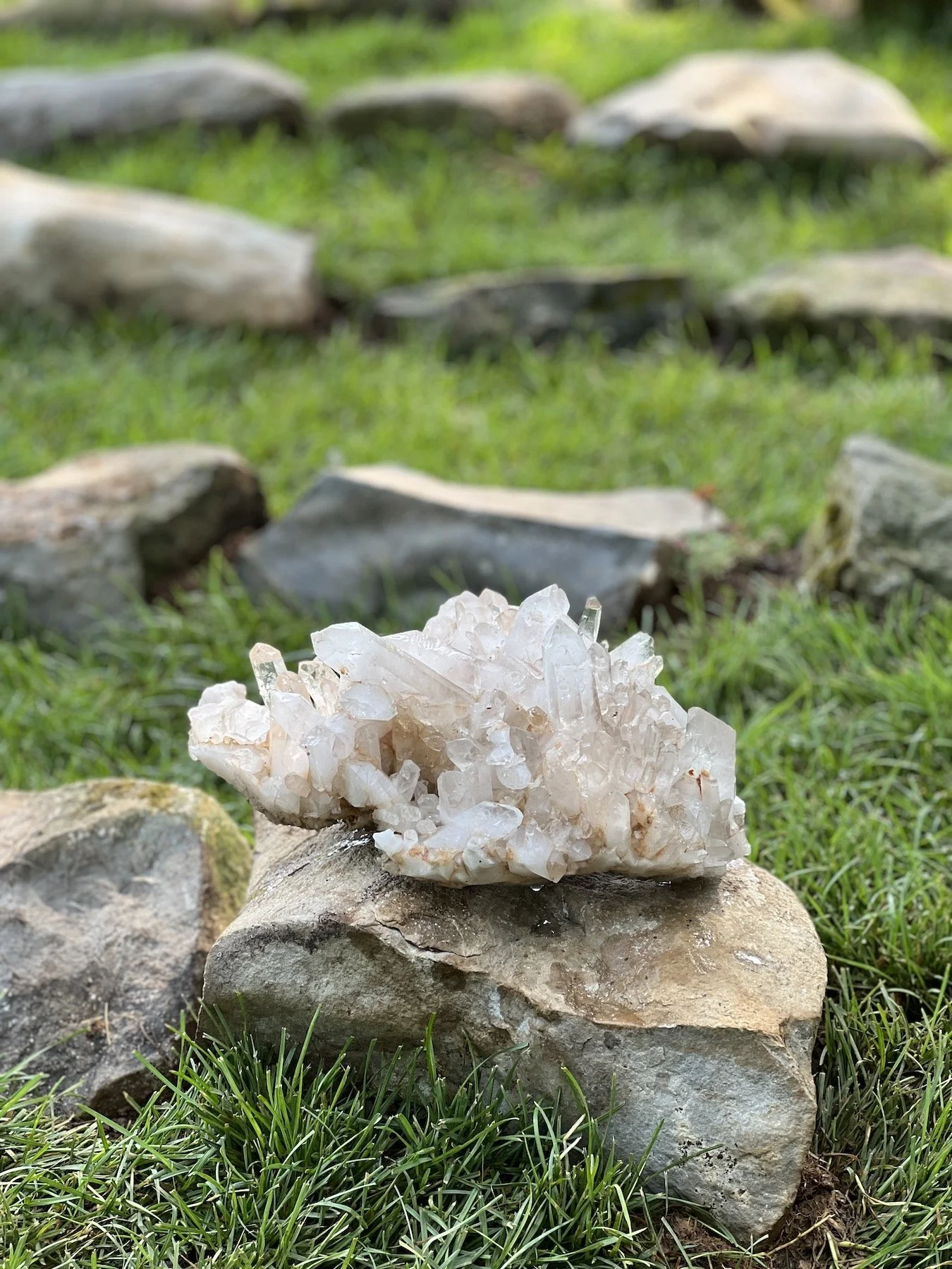 Quartz forest_placement_Shenan_2025.JPG