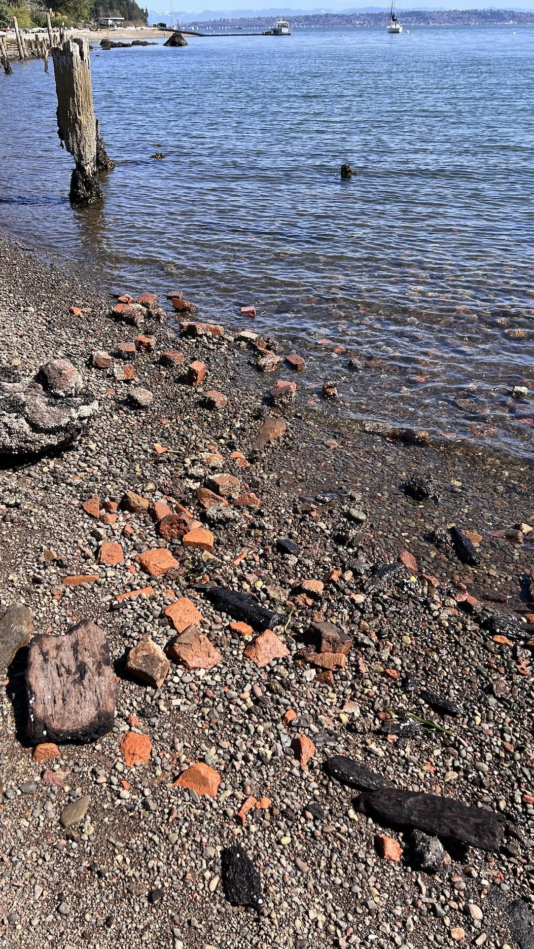 2. Spiral_bricks along shore.JPG
