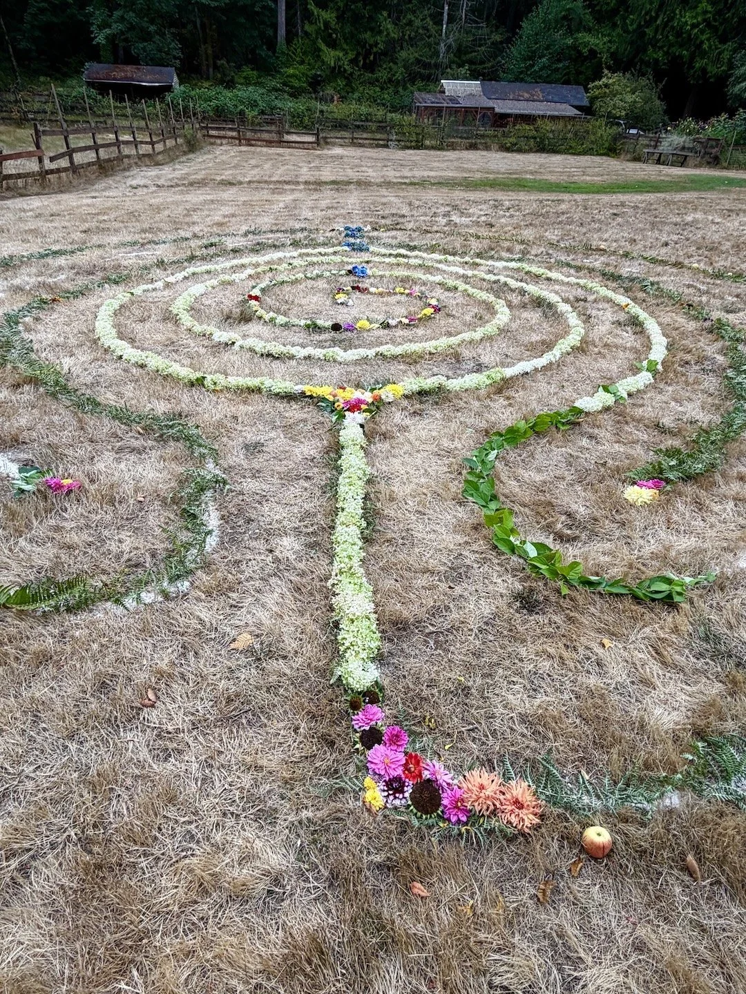 WbyW labyrinth_entrance copy.JPG