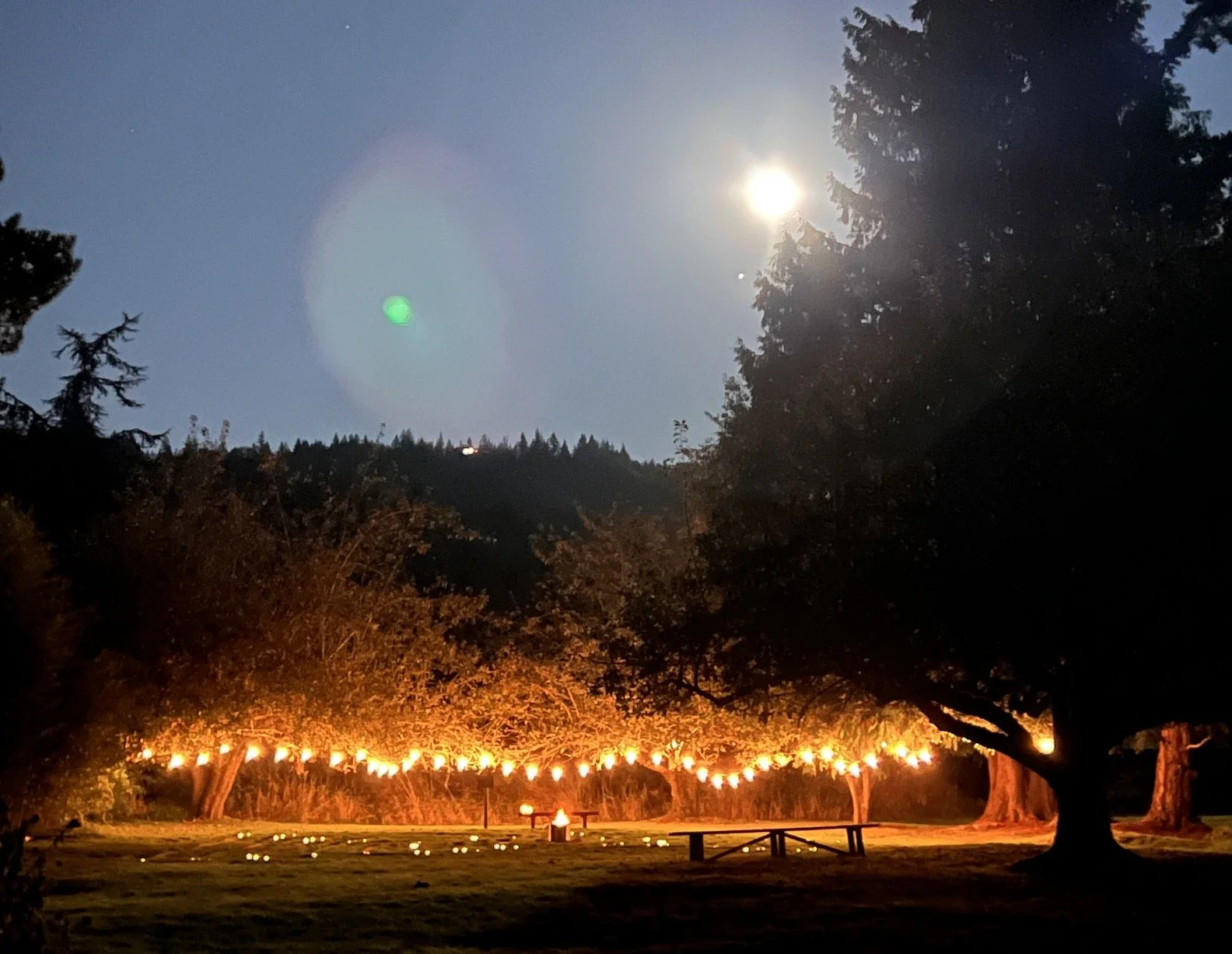 Labyrinth Full Moon.jpeg