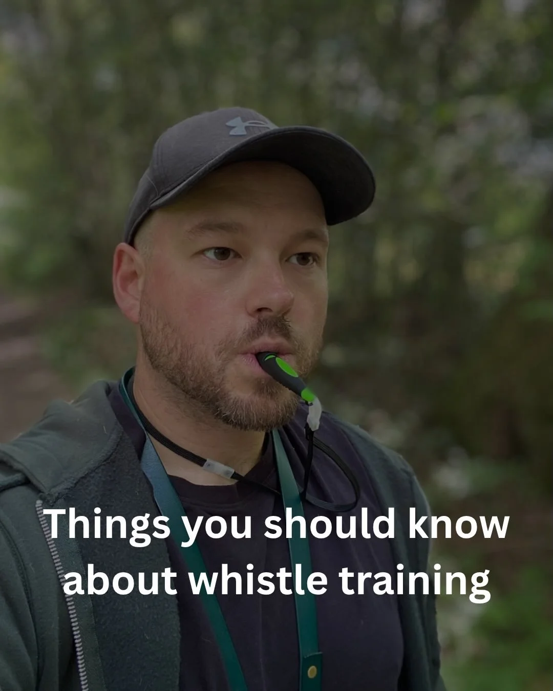 Whistles can be a great alternative to using verbal cues in our dog training, especially if your dog is off at a distance. The key thing to remember is they aren&rsquo;t remote controls - you still need to teach your dog the behaviour you want and as