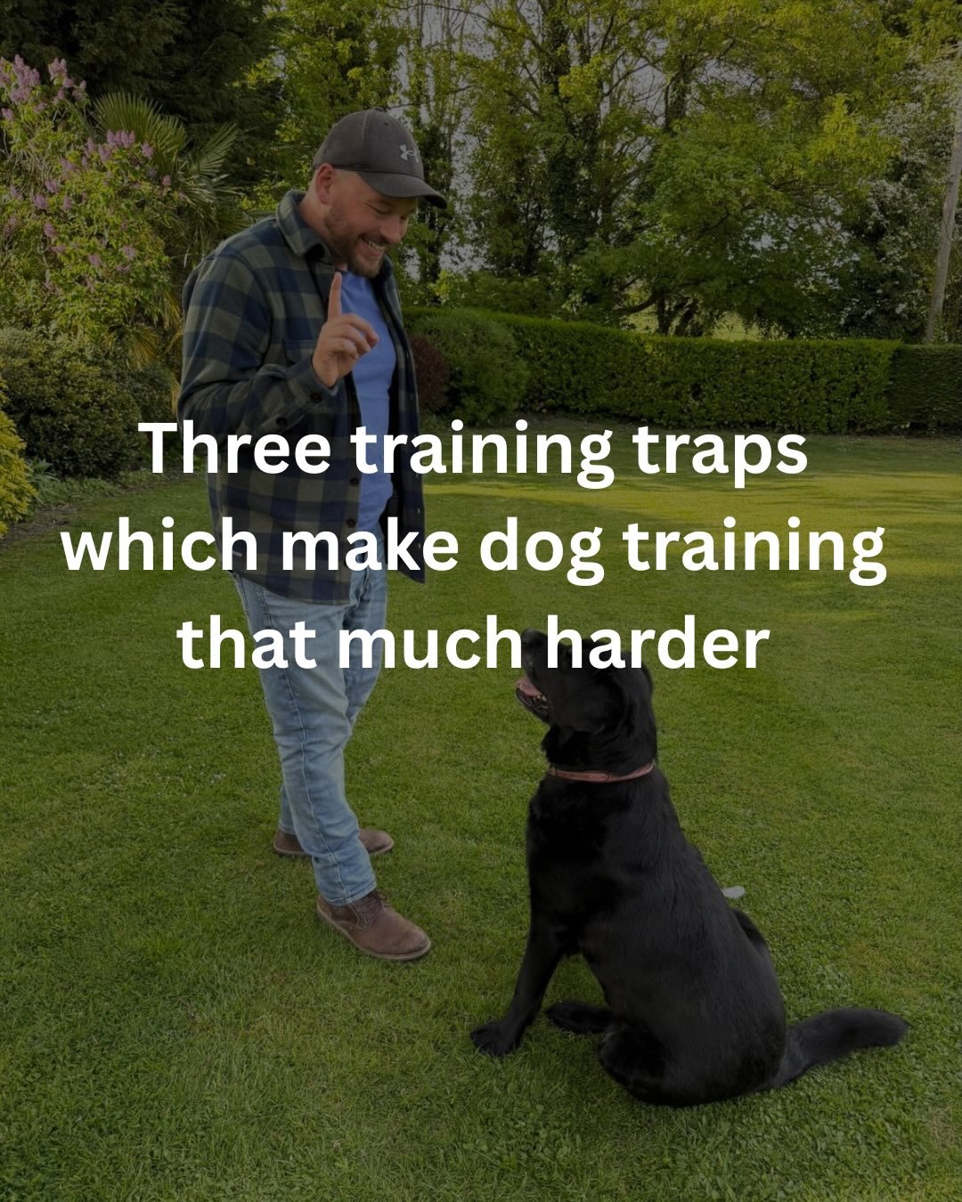 Training your dog isn&rsquo;t always easy but avoiding these common traps will make progress feel much smoother!

Dog training tips &bull; dog training advice &bull; how to train your dog &bull; dog training troubleshooting &bull; easy dog training t
