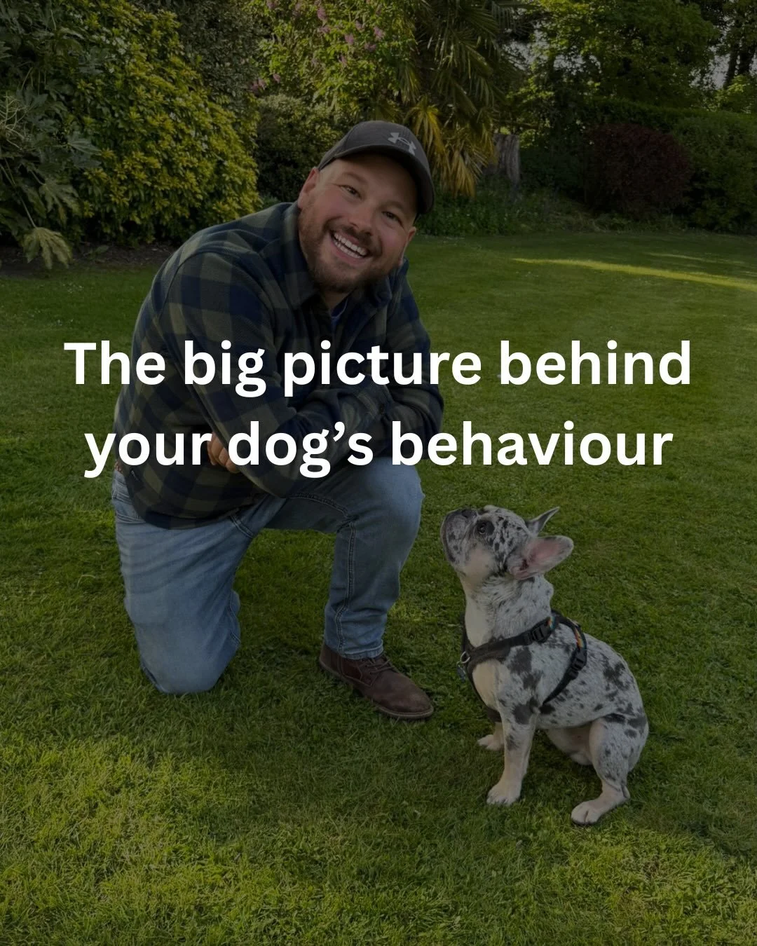 There&rsquo;s so much more to your dog&rsquo;s behaviour than just training. To make the best progress, we should be looking at optimising their whole life. 

By making sure their physical, mental and emotional needs are well met, we can build a stro