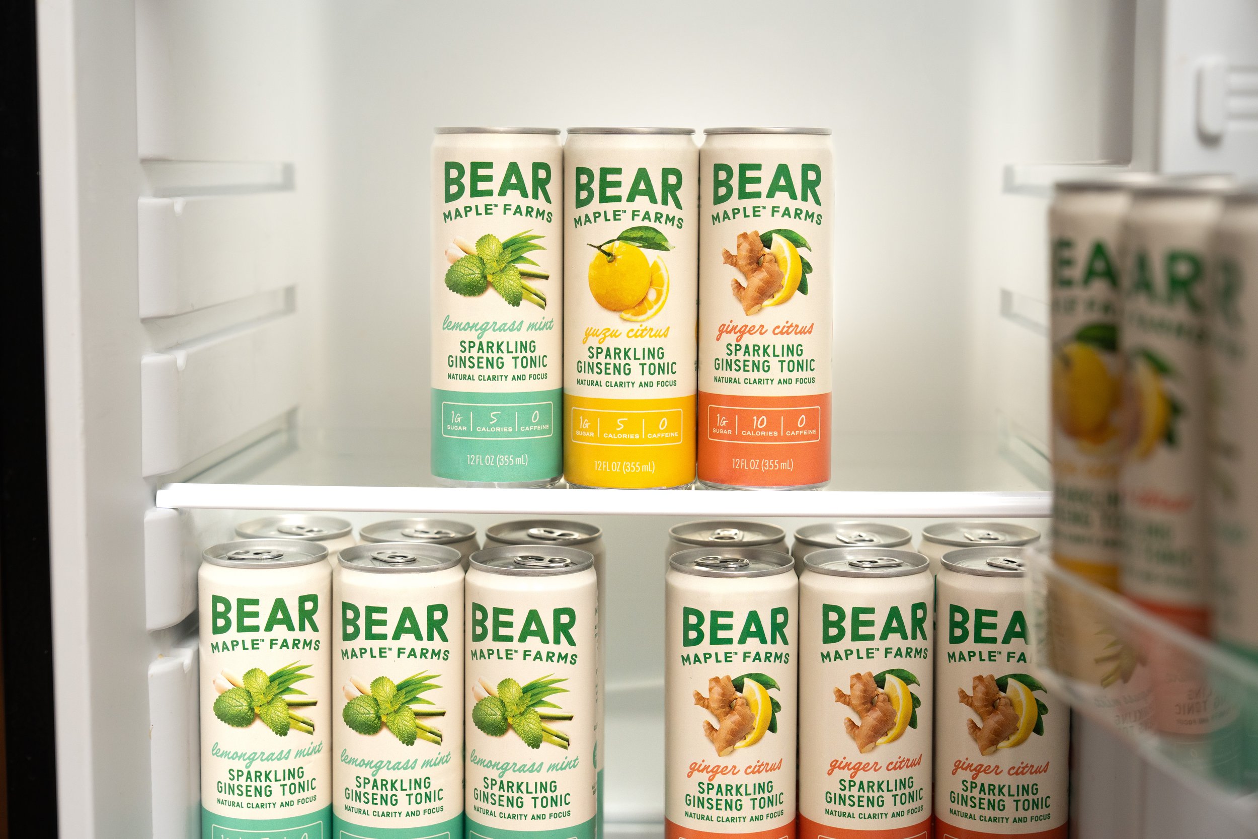 V2 BM Fridge-7.jpg