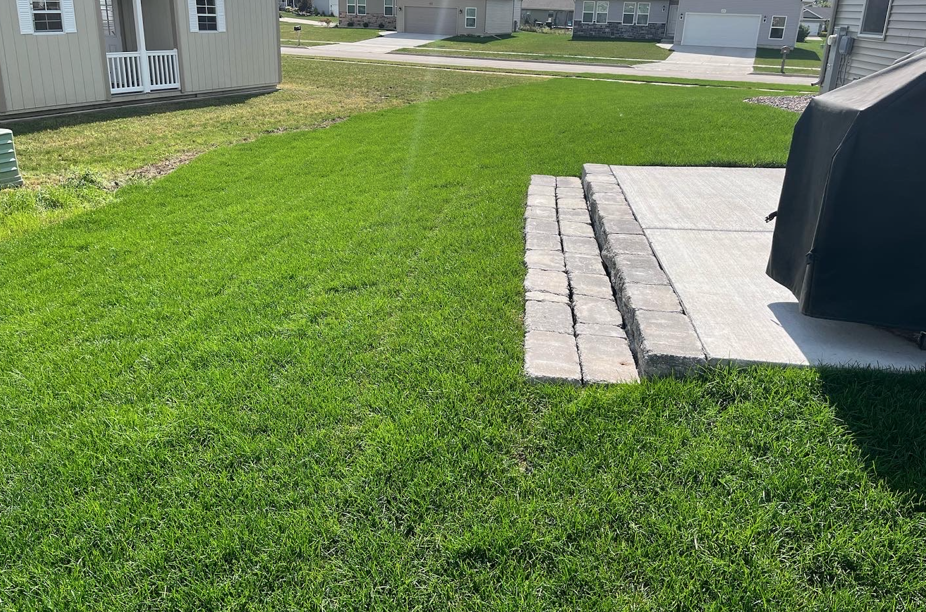 Screen Shot 2022-11-25 at 2.12.17 PM.png