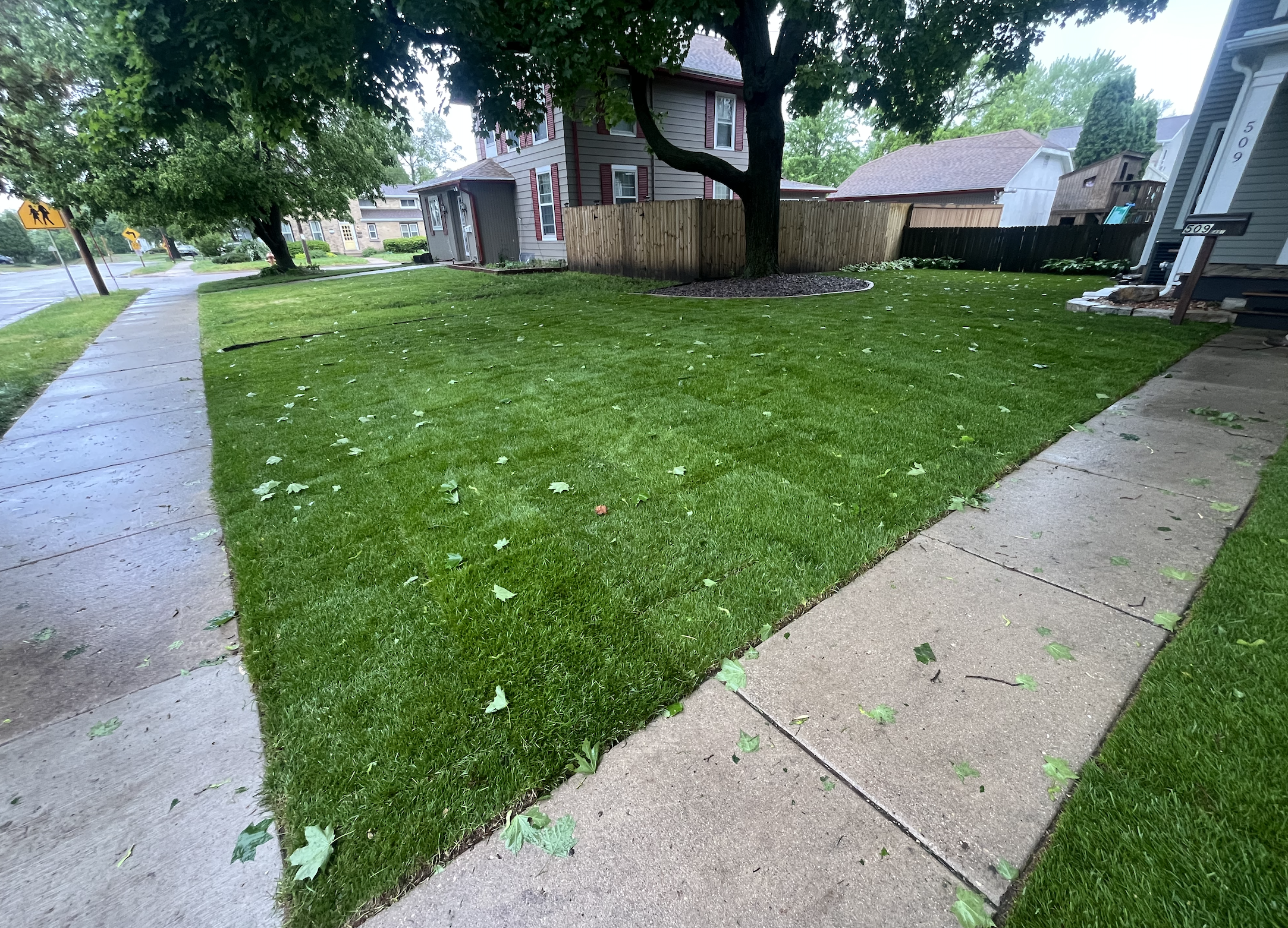 Screenshot 2026-02-24 at 1.44.22 PM.png